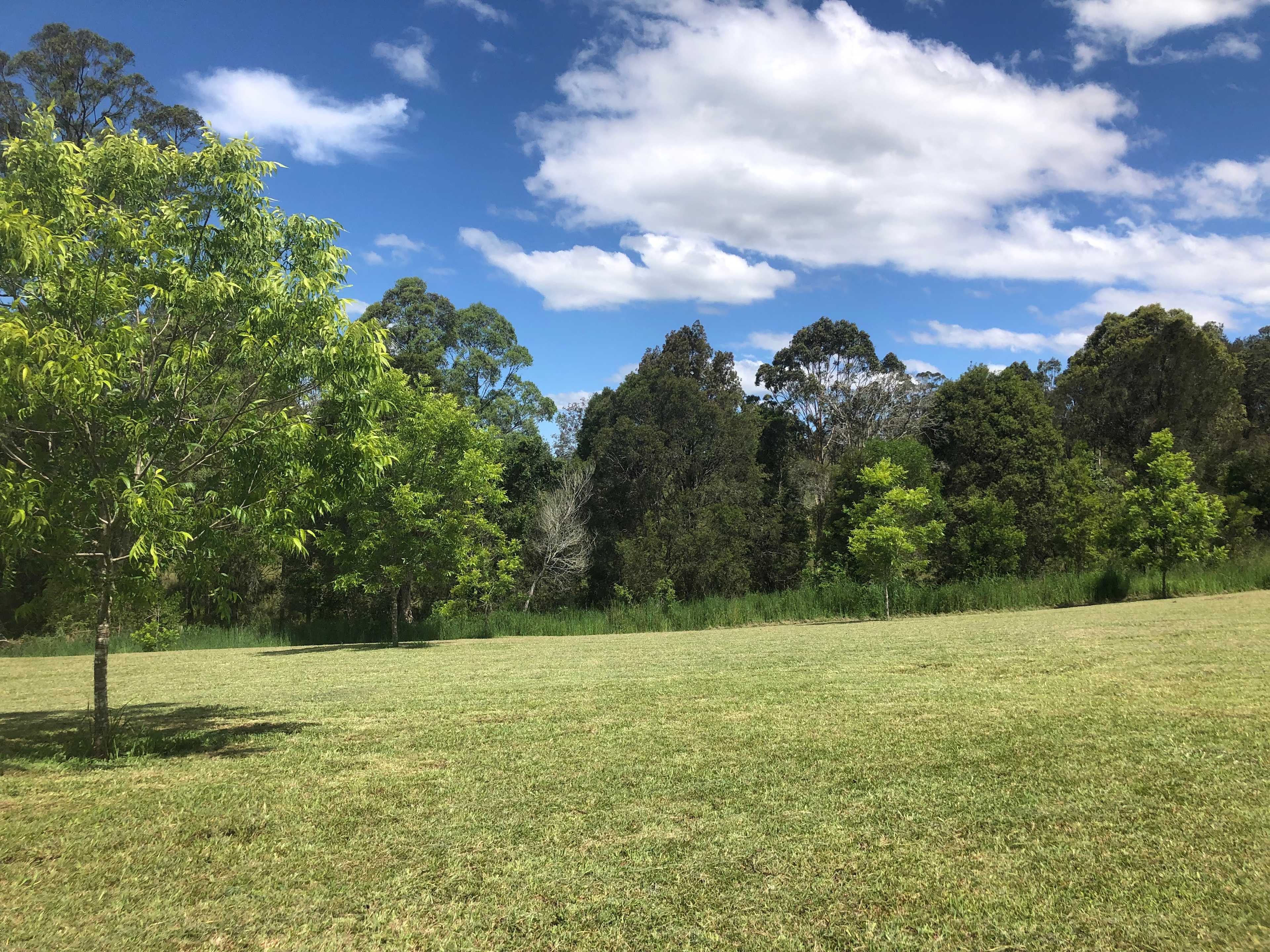 Your site amount out pecan orchard.
