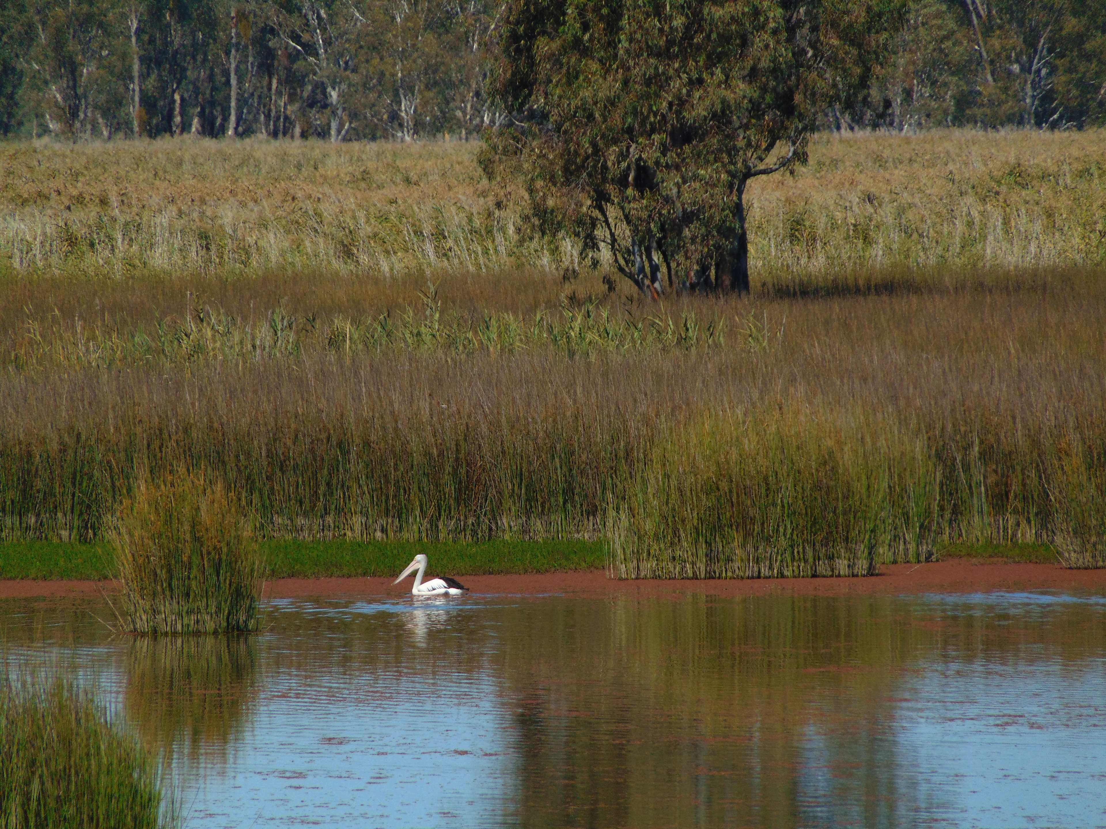 Murray Valley National Park