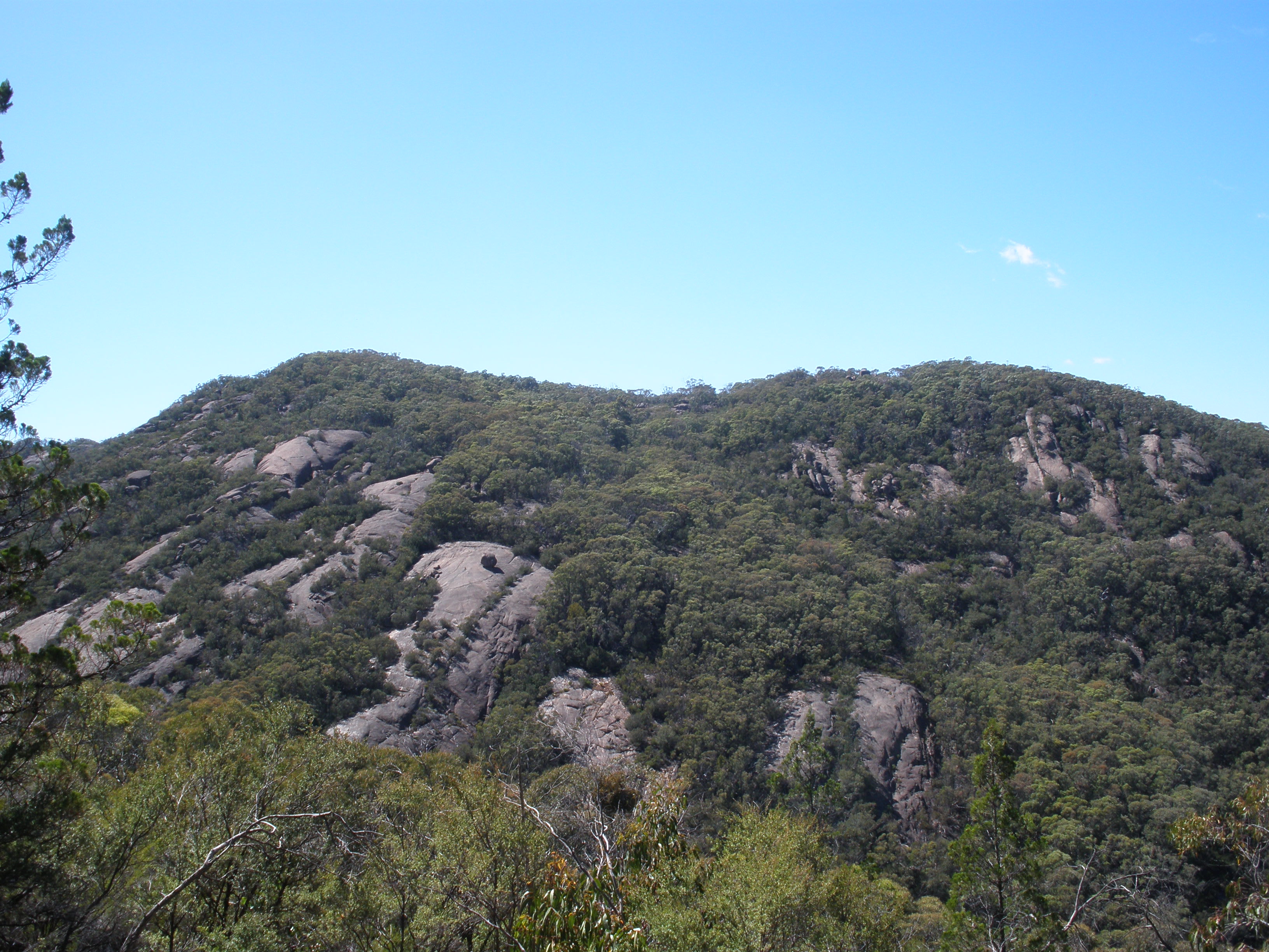 Burrowa-Pine Mountain National Park