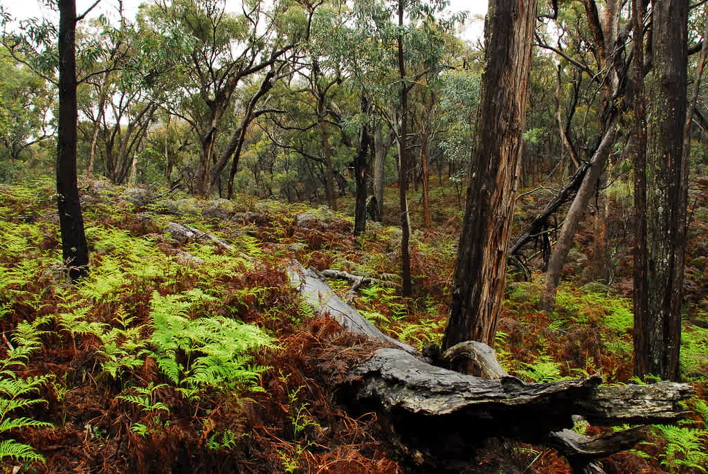 Keverstone National Park