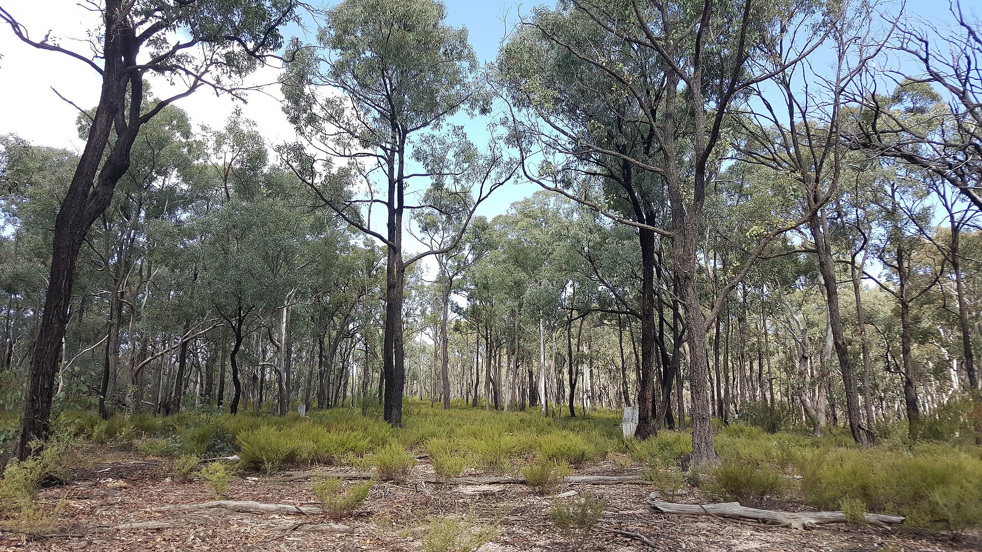 Yarrobil National Park