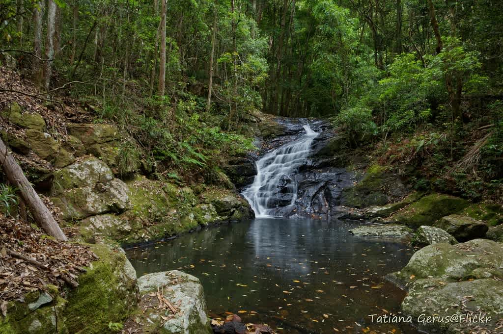 Kondalilla National Park