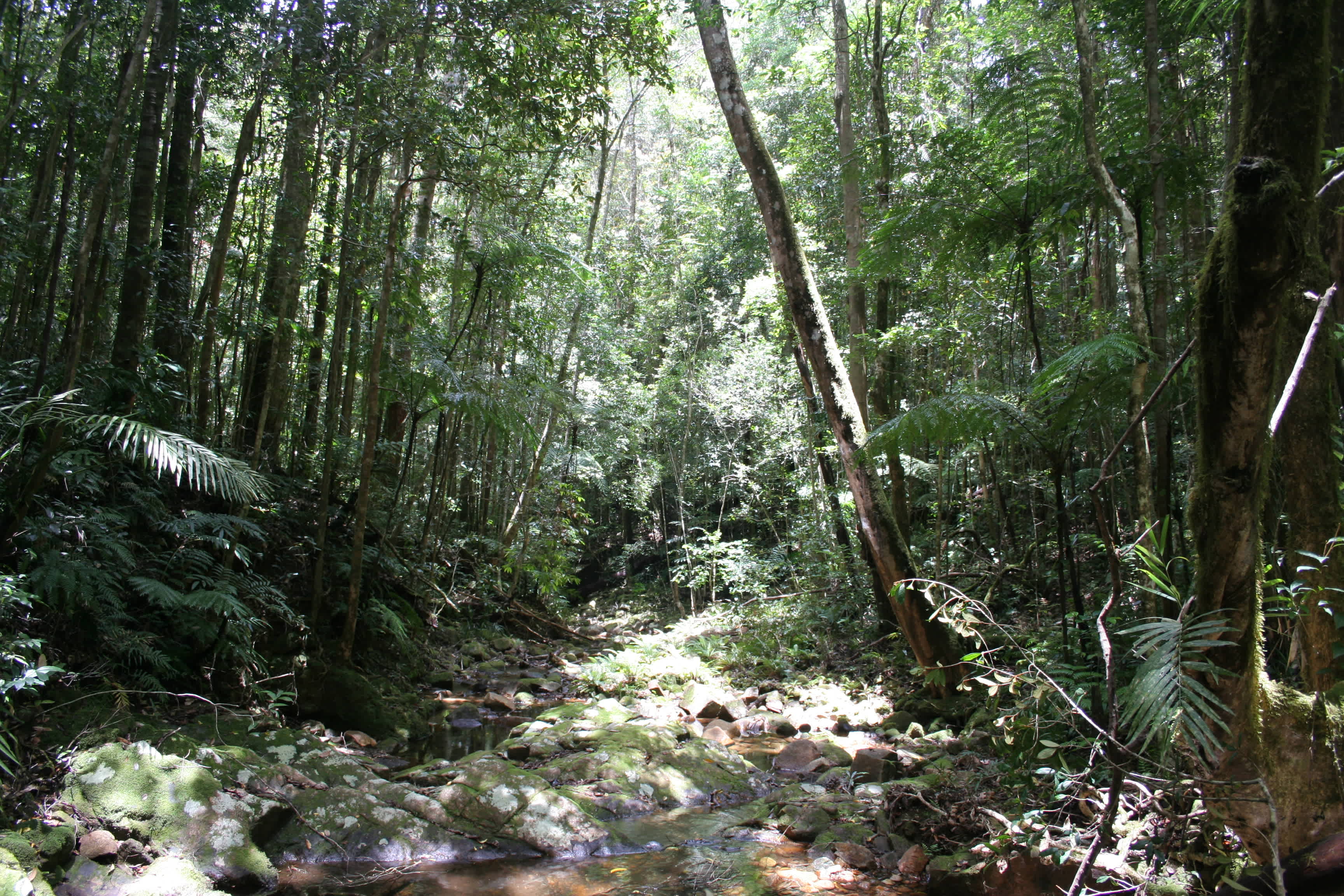 Paluma Range National Park