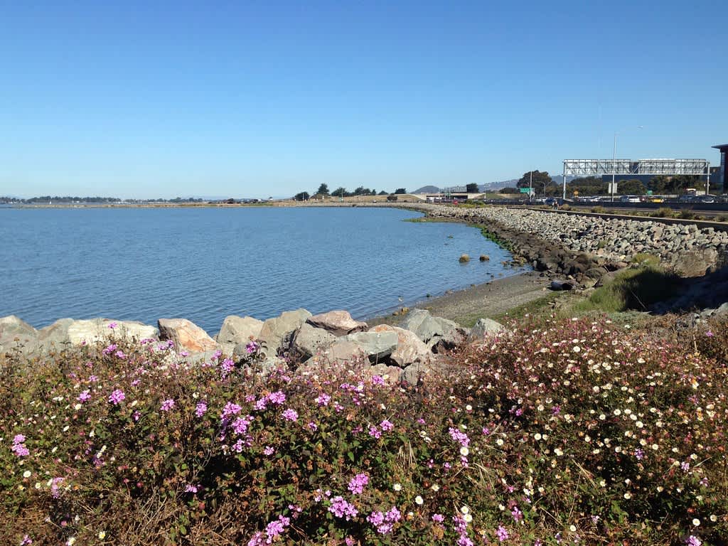 McLaughlin Eastshore State Park