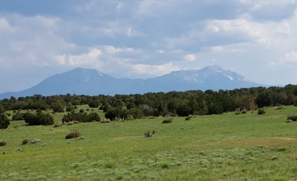 The Spanish Peaks (AKA Huajatolla (/wɑːhɑːˈtɔɪə/ wah-hah-TOY-ə). Looking South.