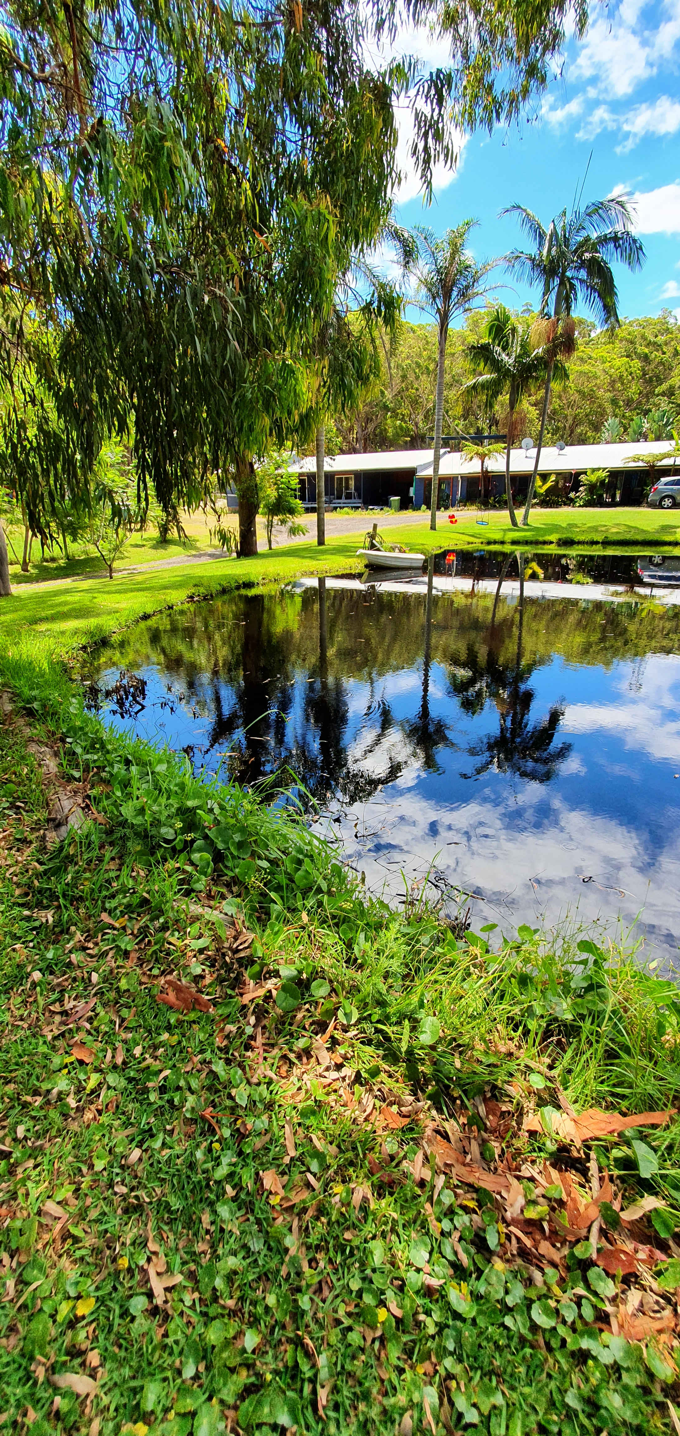 Camp-site outlook
