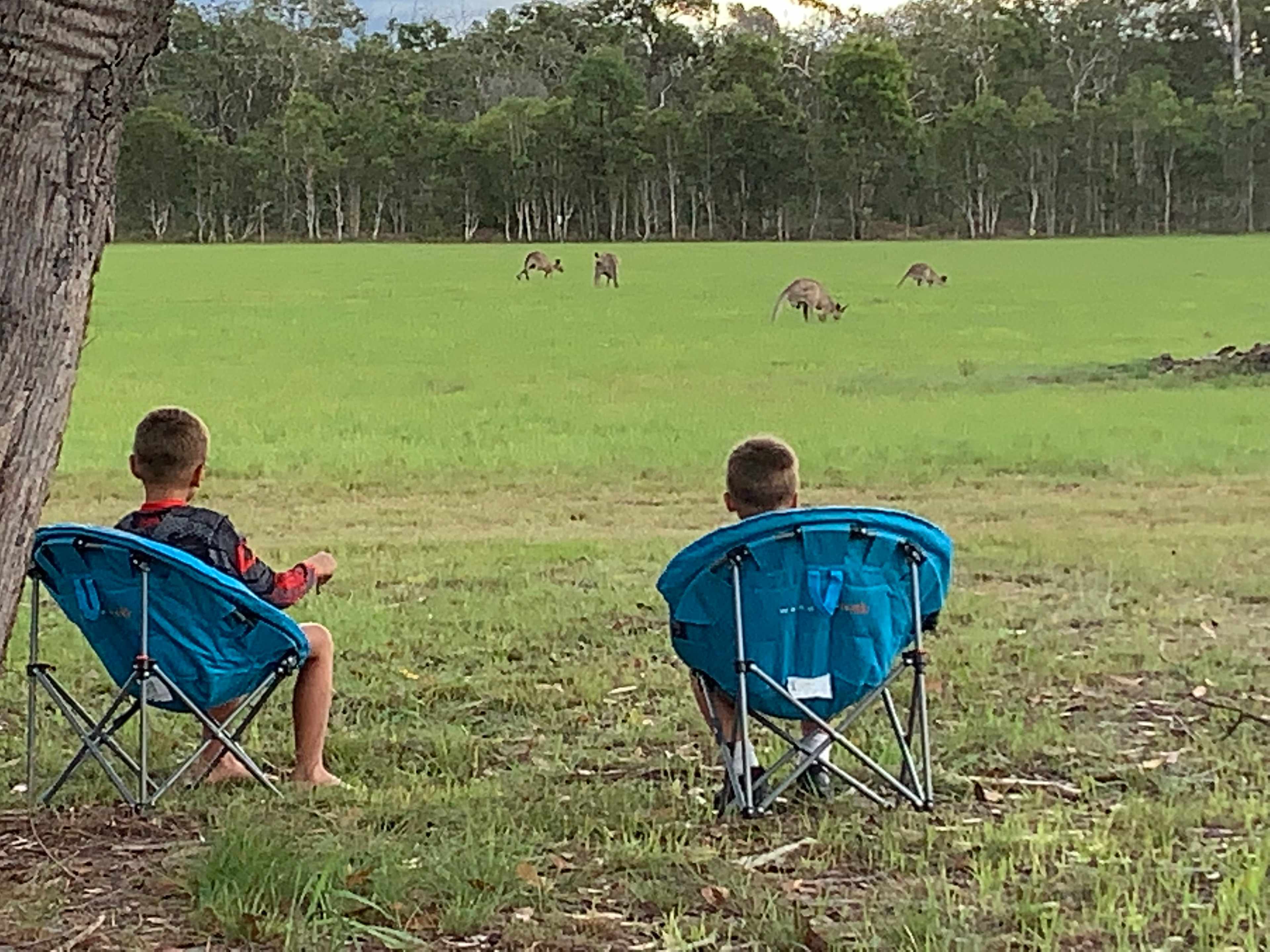 Korners Bush Escape Deepwater