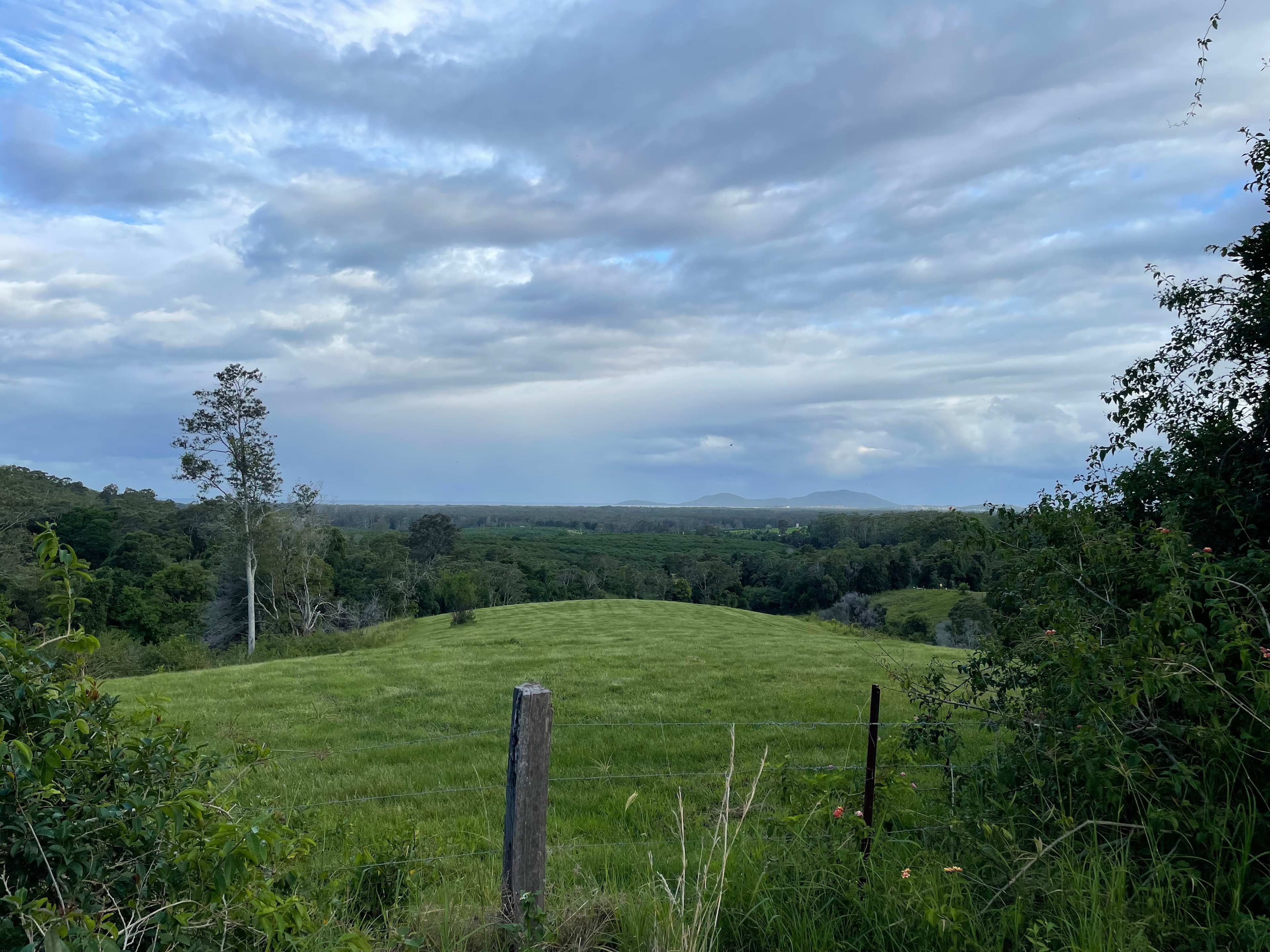 View from Avocados and Bush site