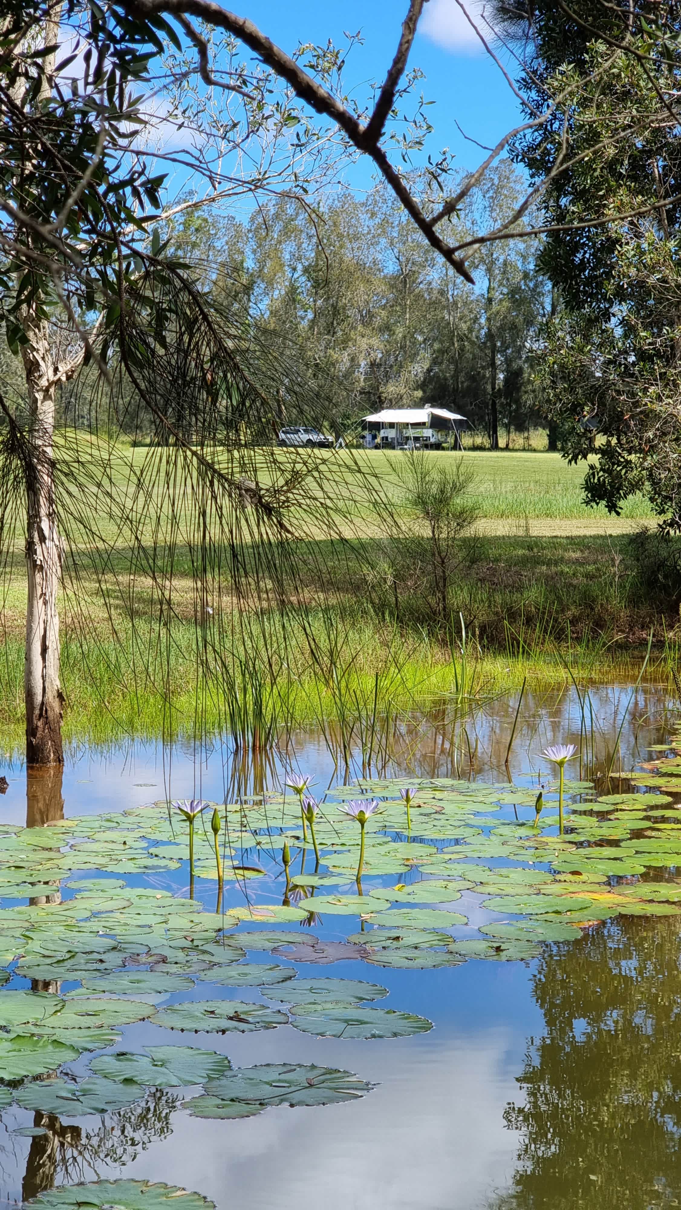 Hipcamper Ian captured this image from one of the spring fed dams.
