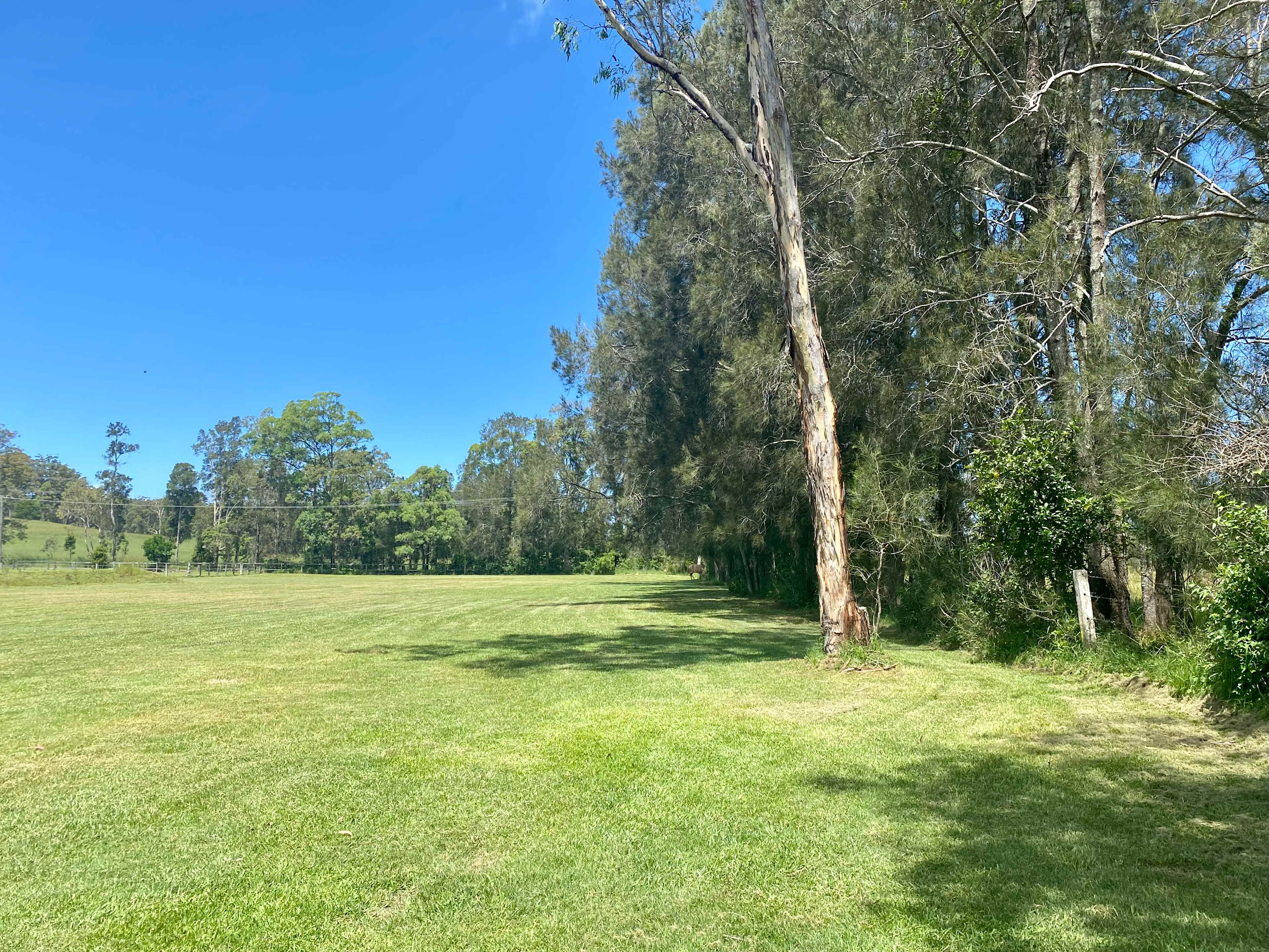 Fernbank Creek - Port Macquarie