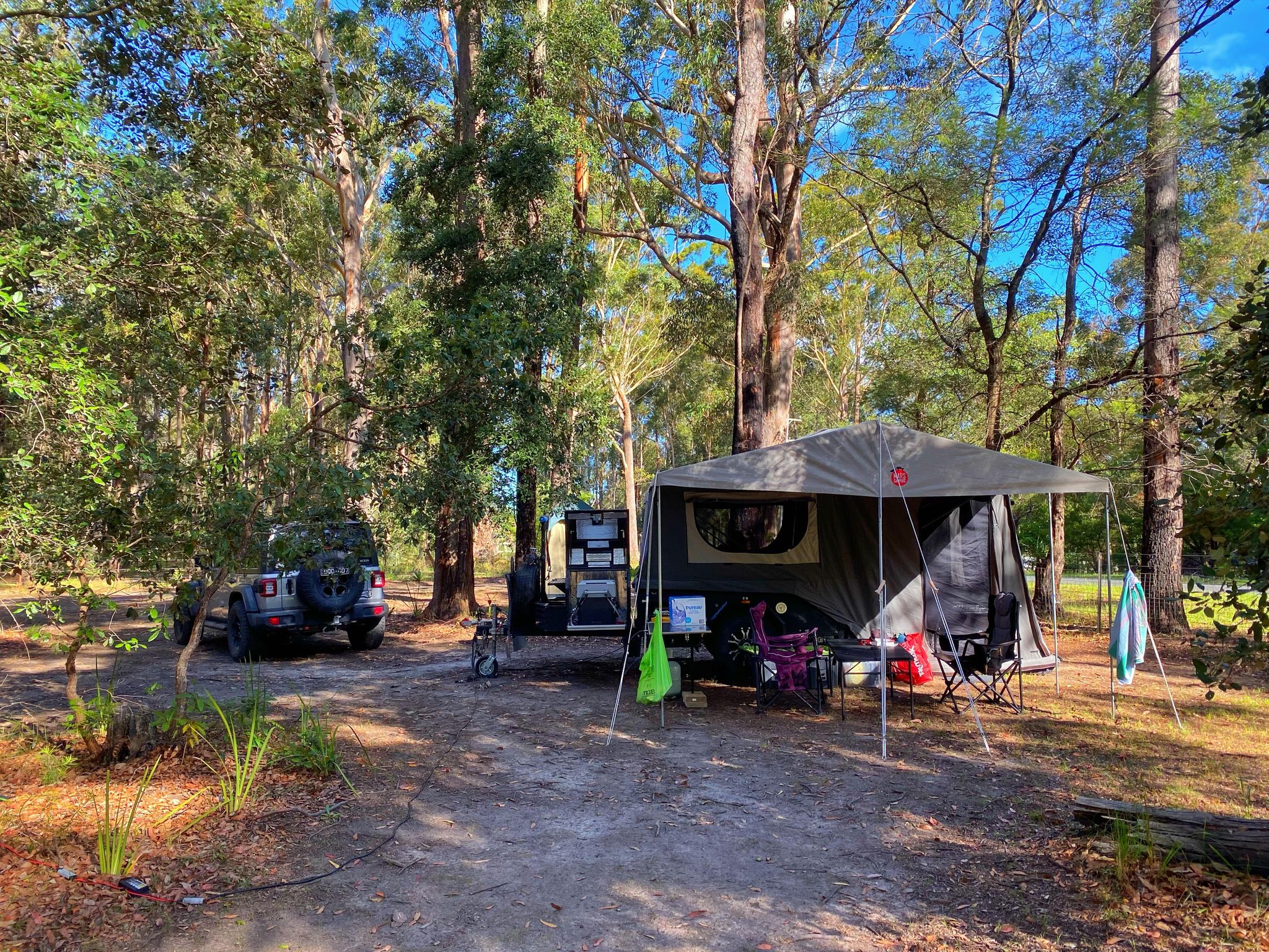 Unlike "official" camp sites around Jervis bay where the next camper is 3m away, we were atleast 25m away from the nearest camp. Plenty of space on site. The trees are magnificent, we loved it.