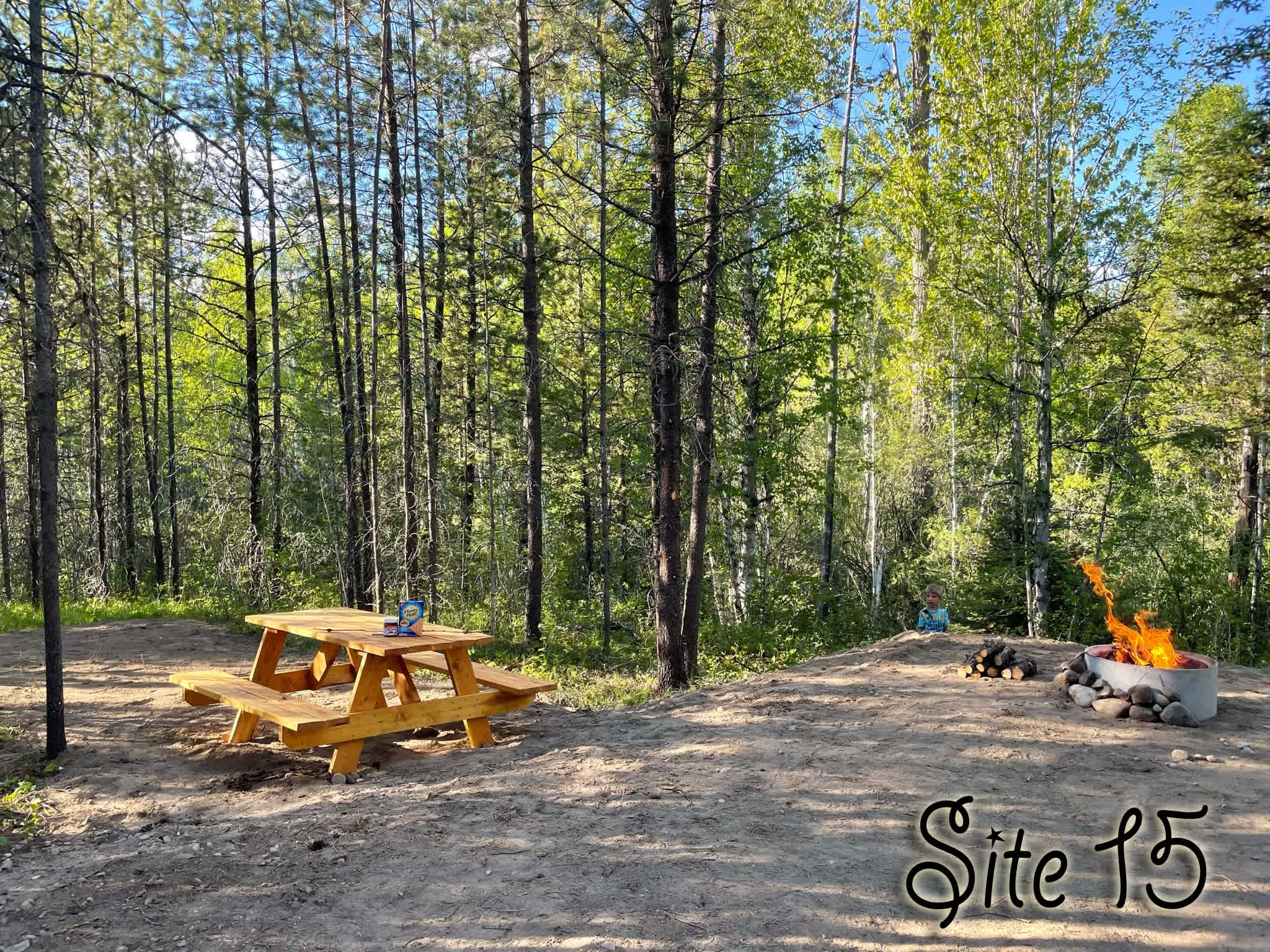 Site 15 is the quintessential Montana camping experience - tucked into the pines it feels like you're miles into the wood.