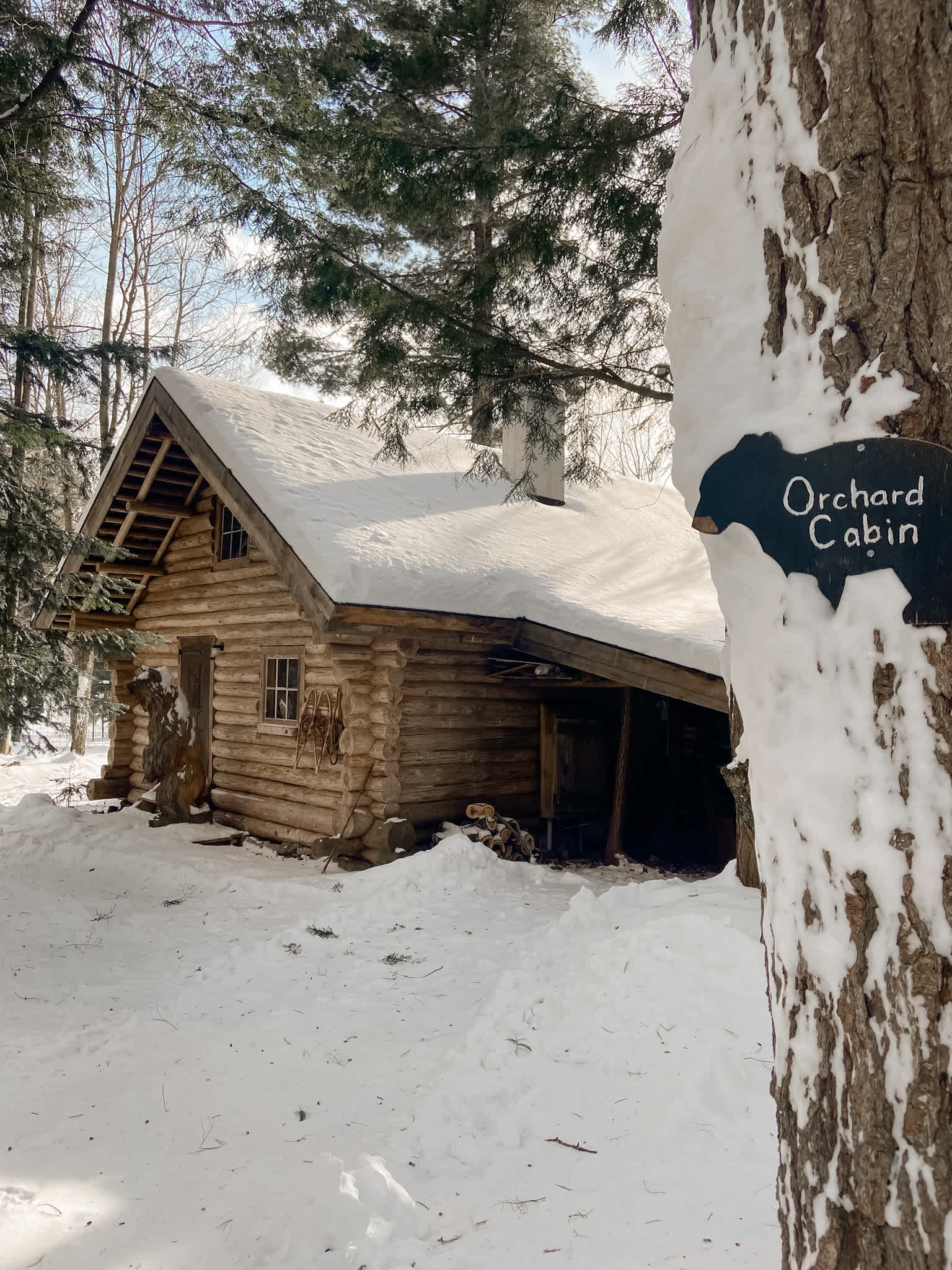 Bear Tree Homestead