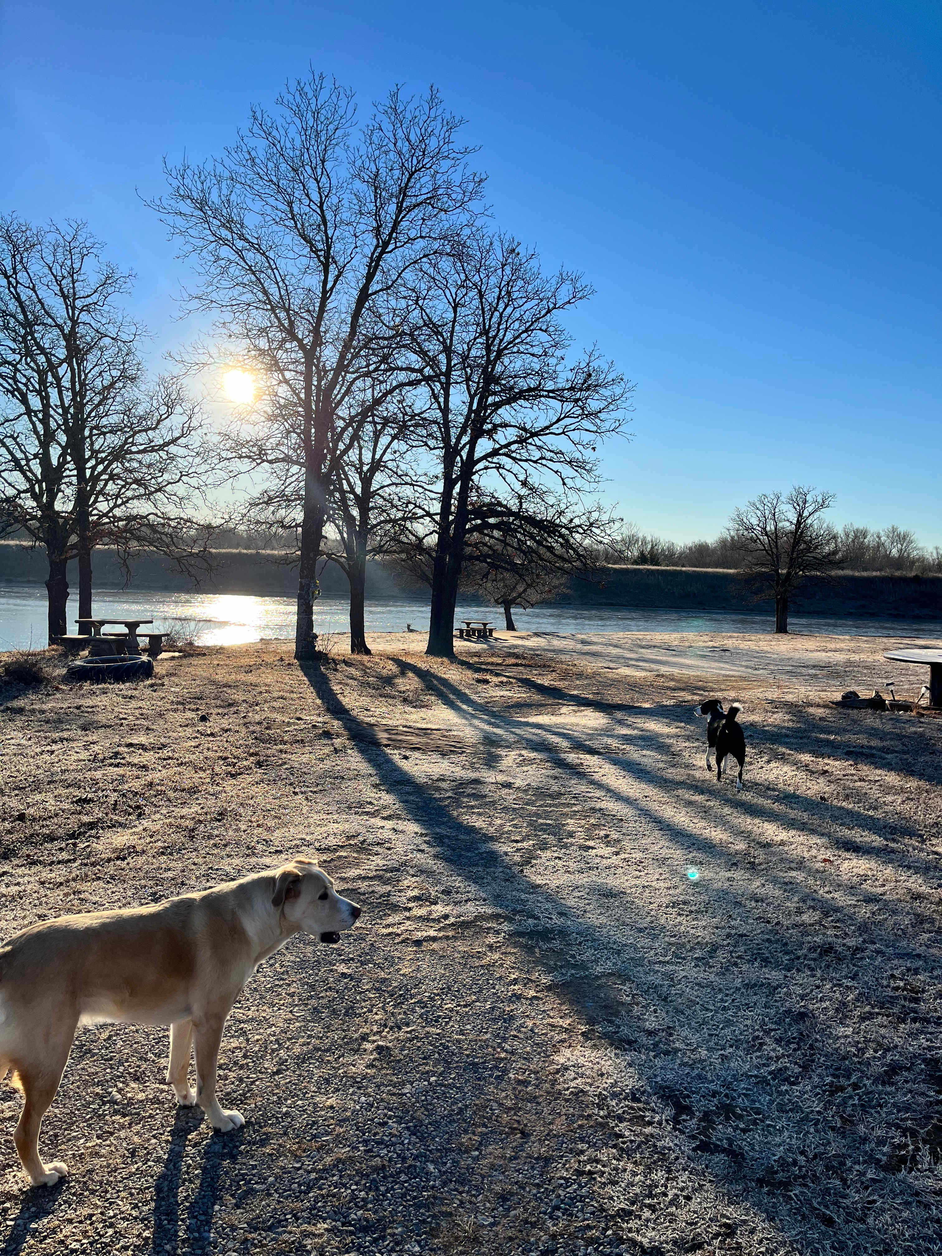 Scaife Pond