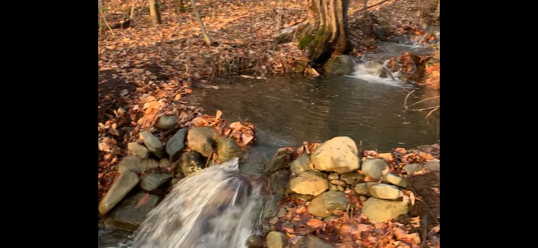 Rock dam at Creekside Camp 