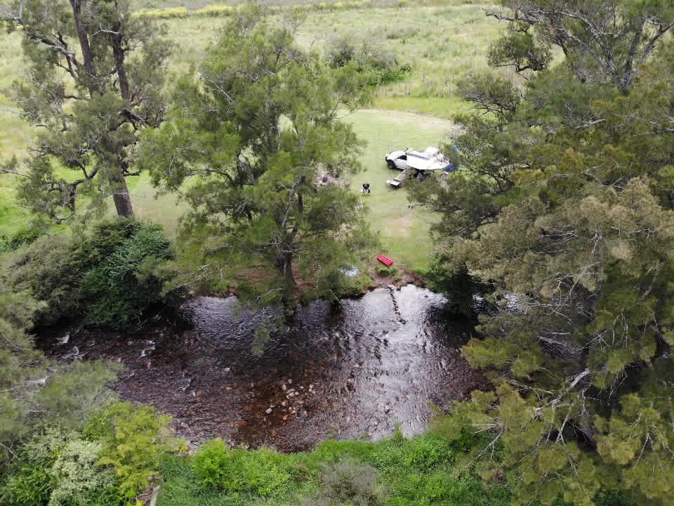 Omadale Brook, Barrington Tops