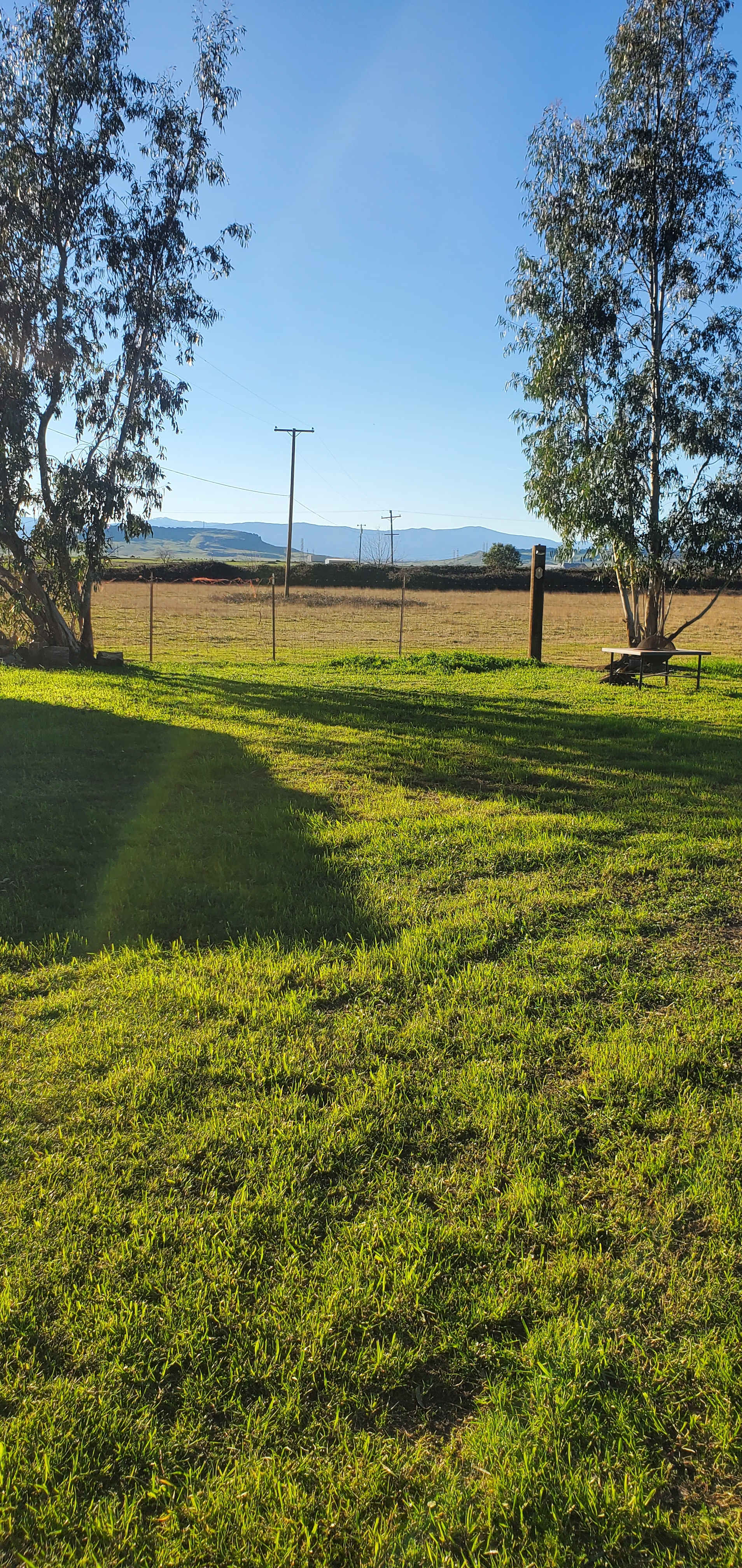 Websters Farm