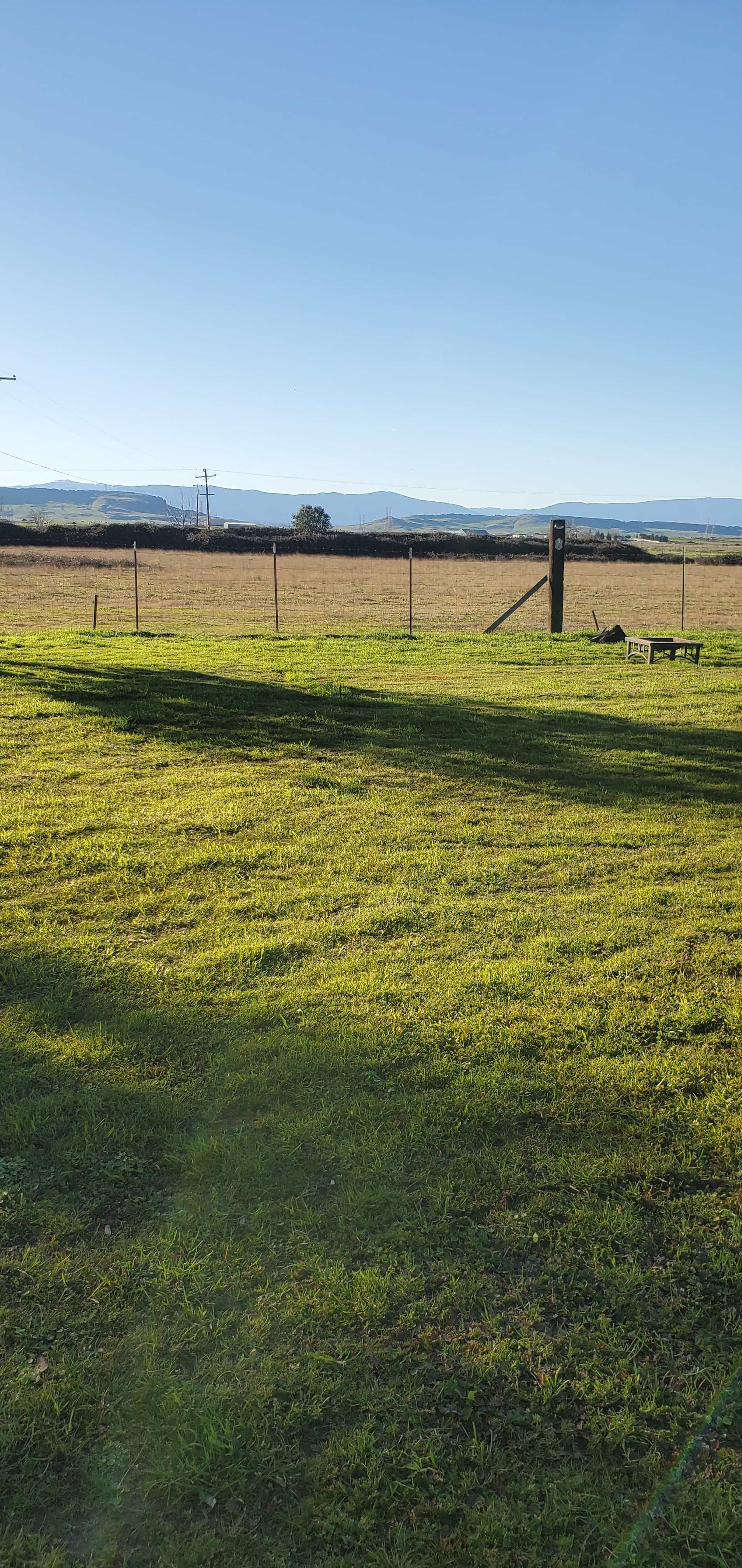 Websters Farm