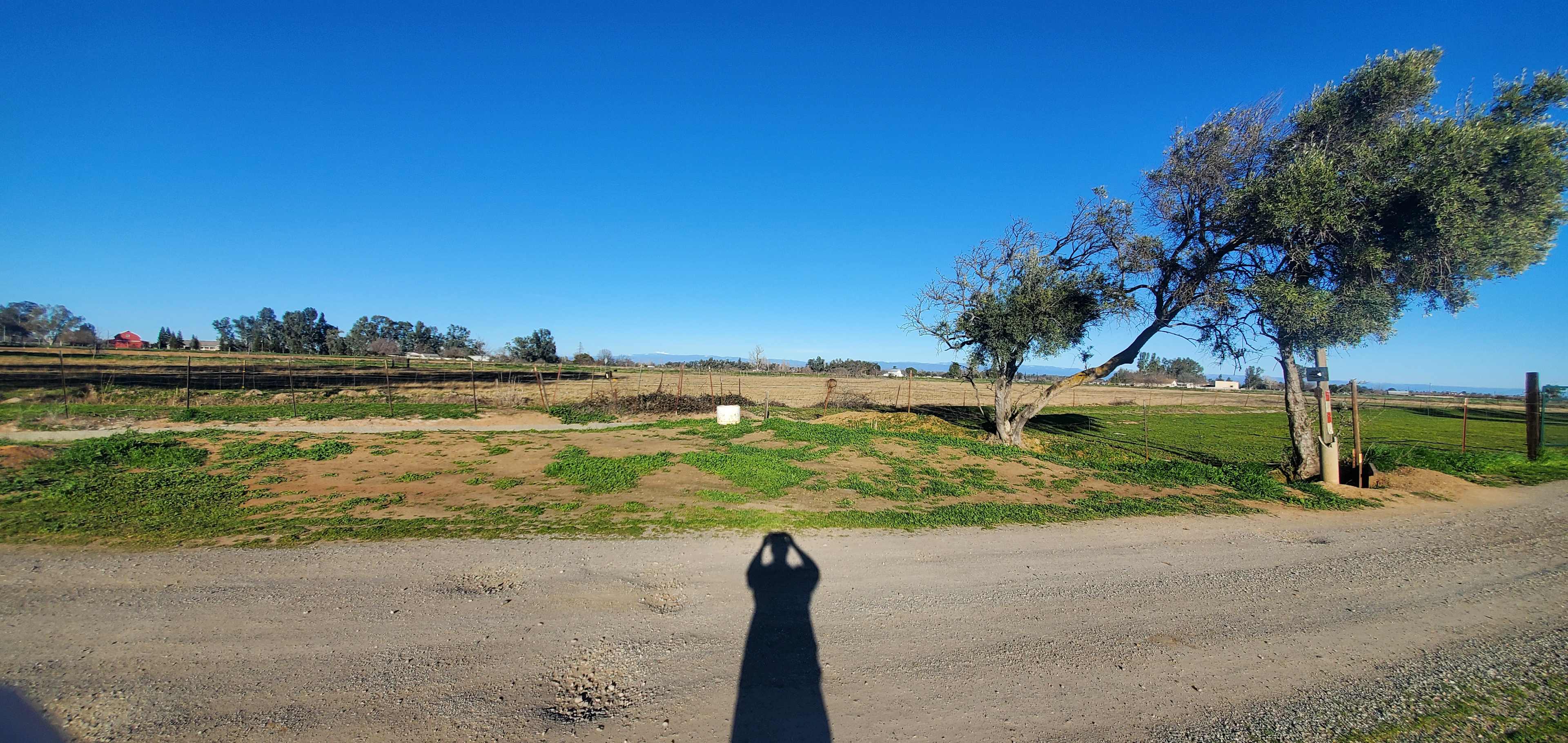 Websters Farm