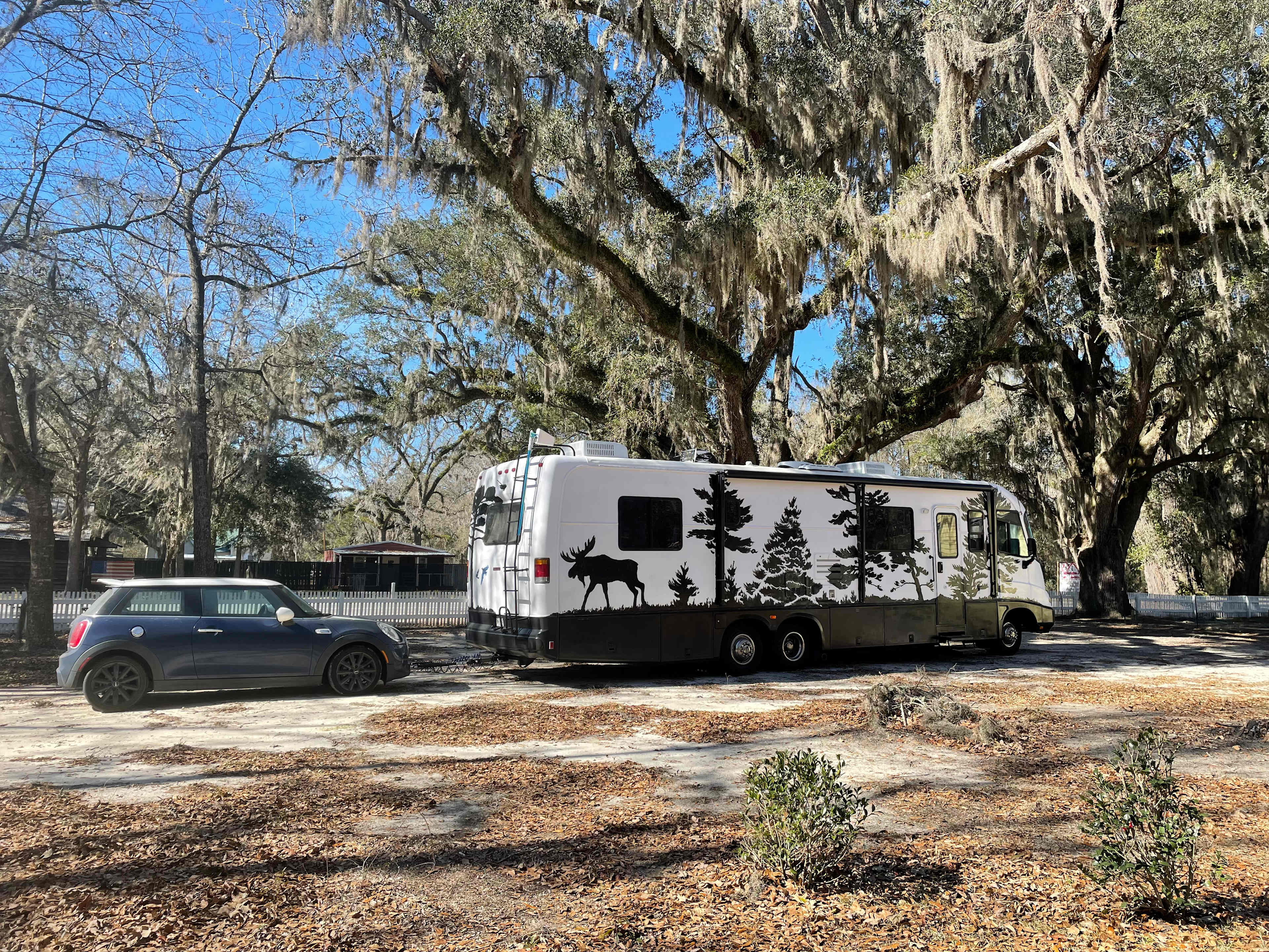 Beautiful trees on the property. 