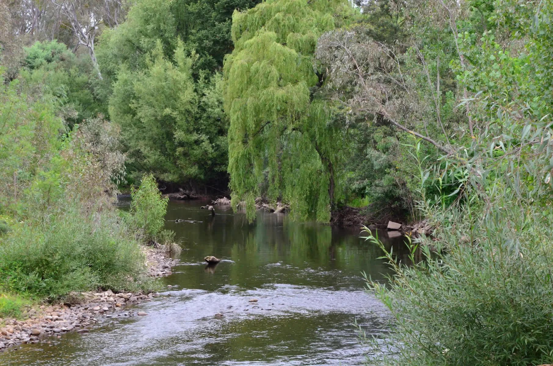 Riverside King Valley