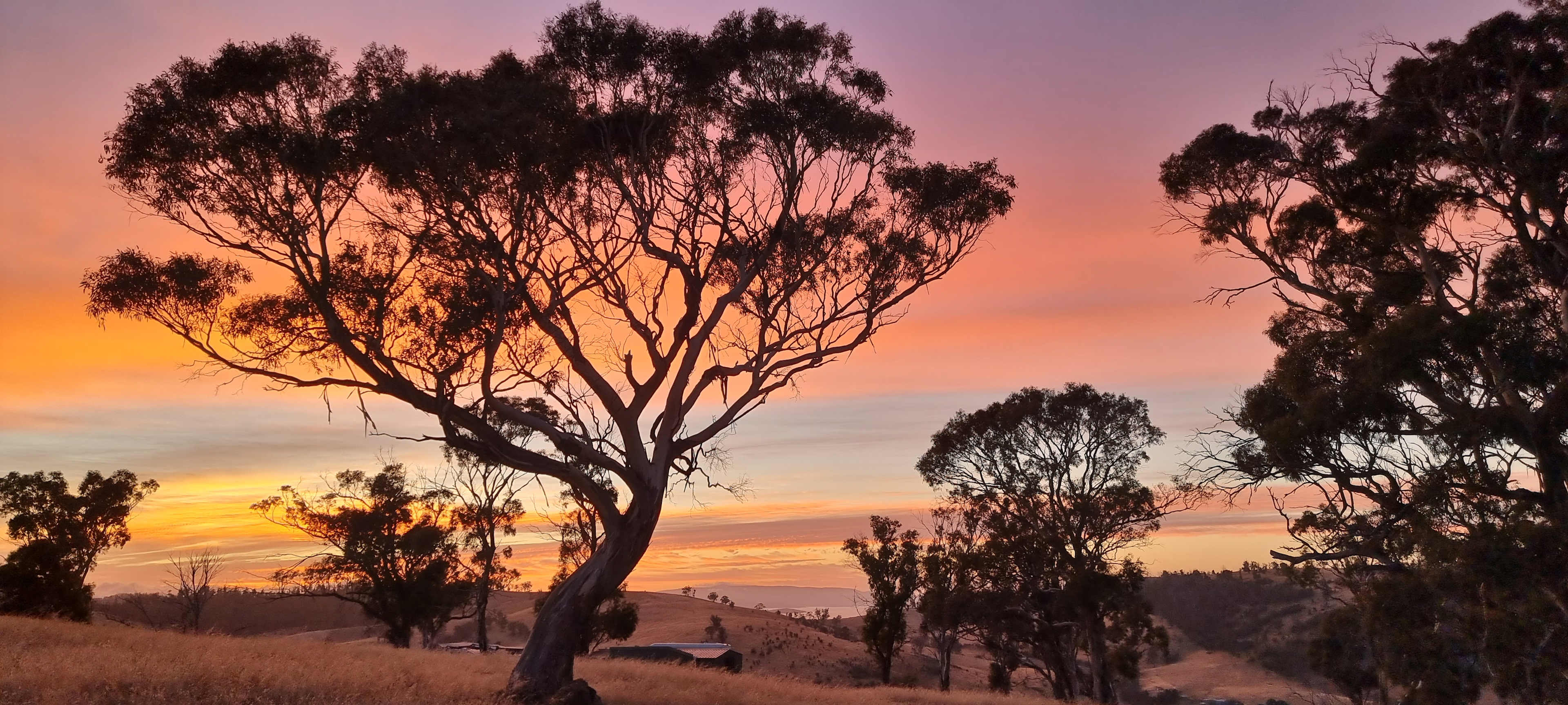 Bomana - Bushland Delight with Breathtaking Views