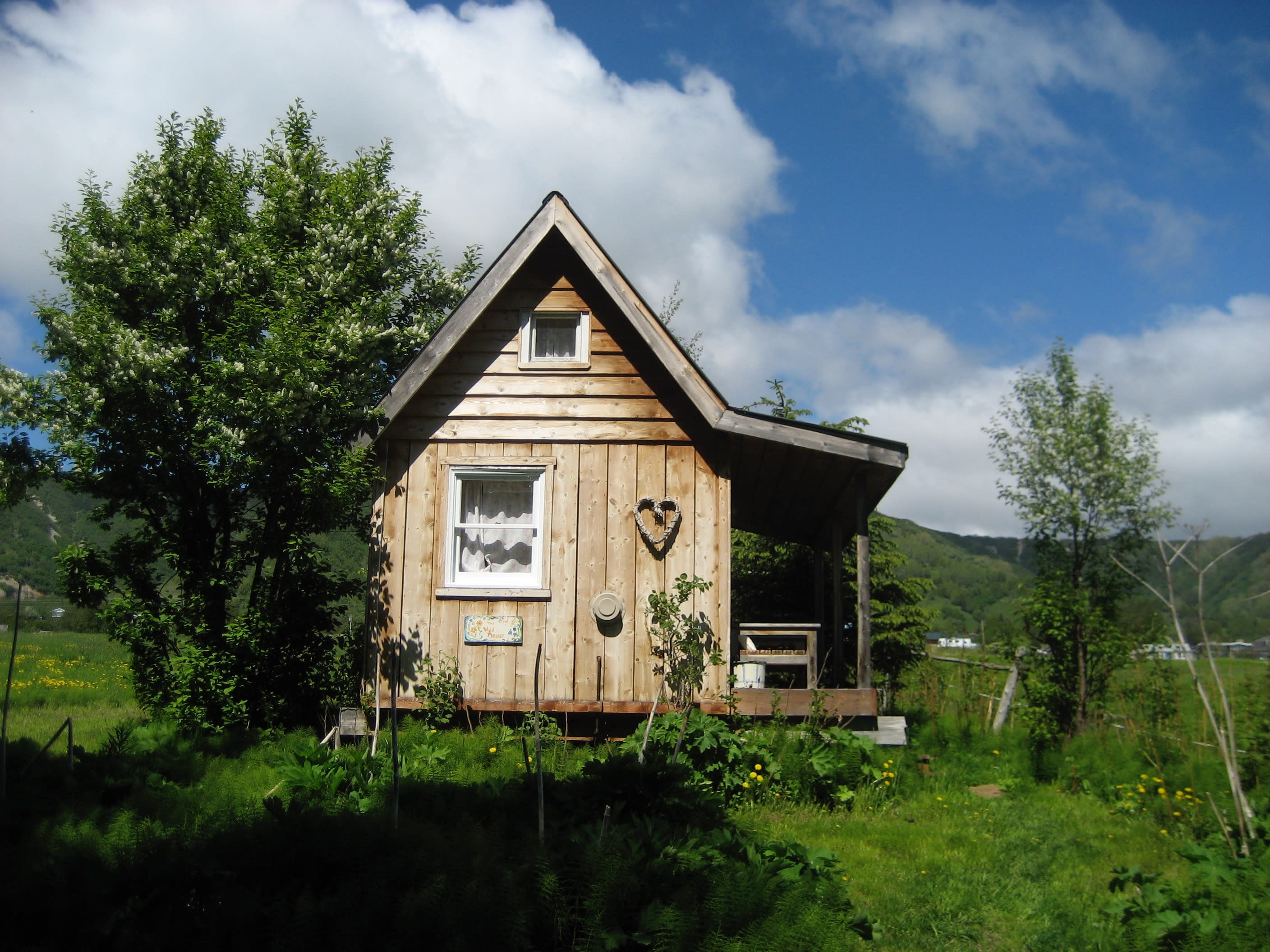 Wildflower cabin