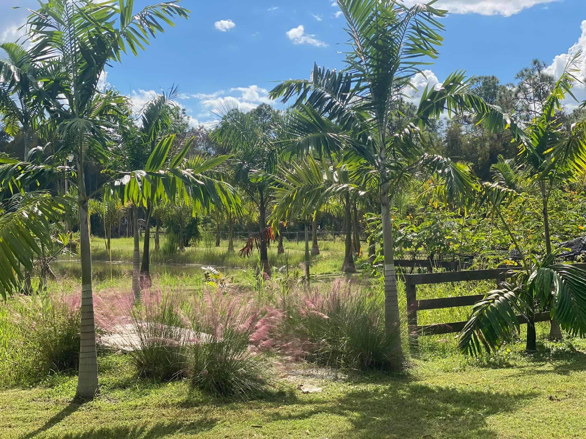 Tres Lagos Farm & Garden