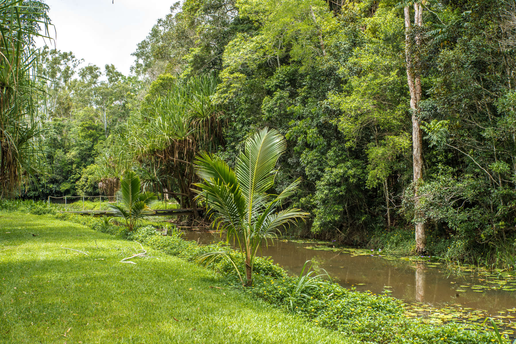 The Billabong Kuranda