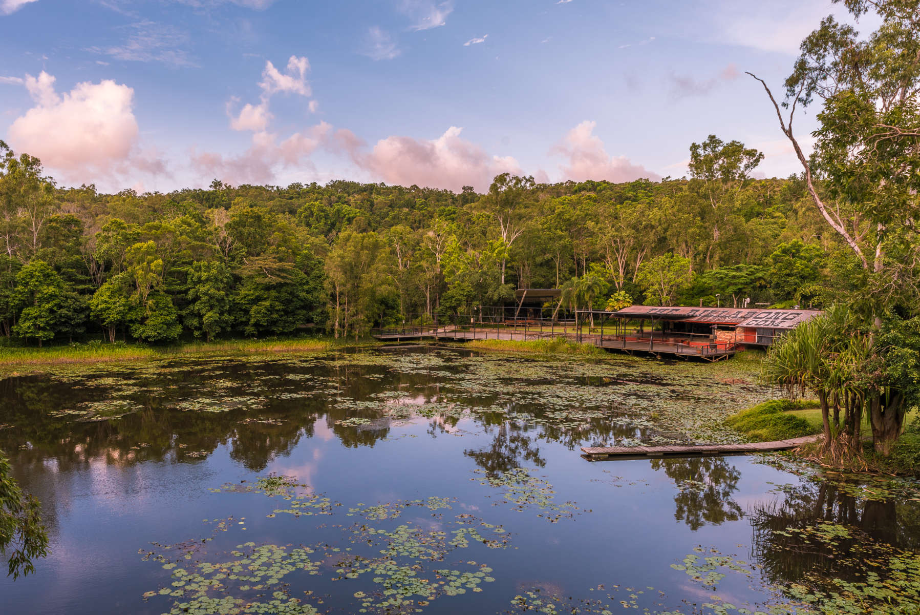 Discover the 9 best campgrounds near Cairns, Queensland