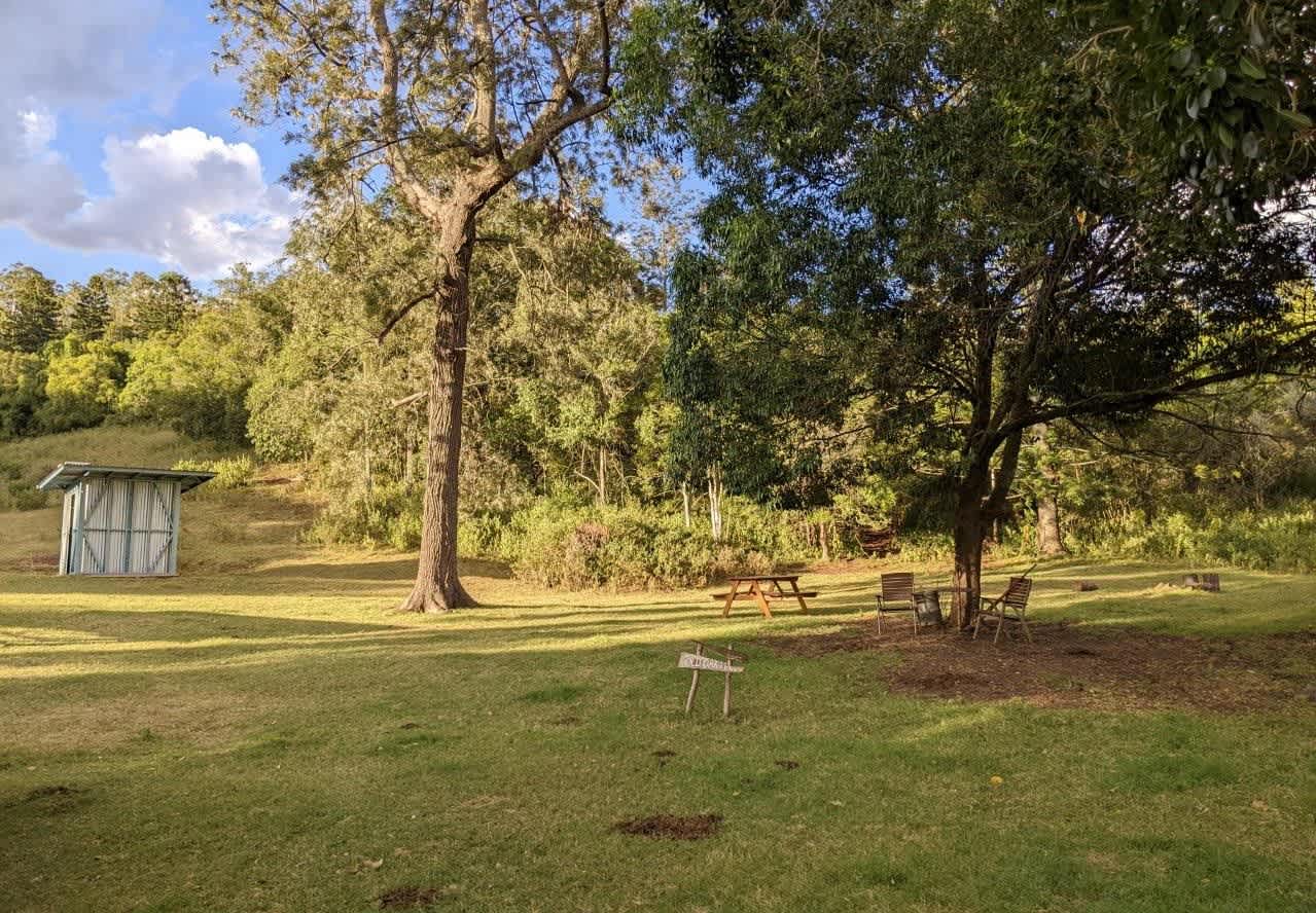 Late afternoon at Old Oak Tree (Feb 2022)