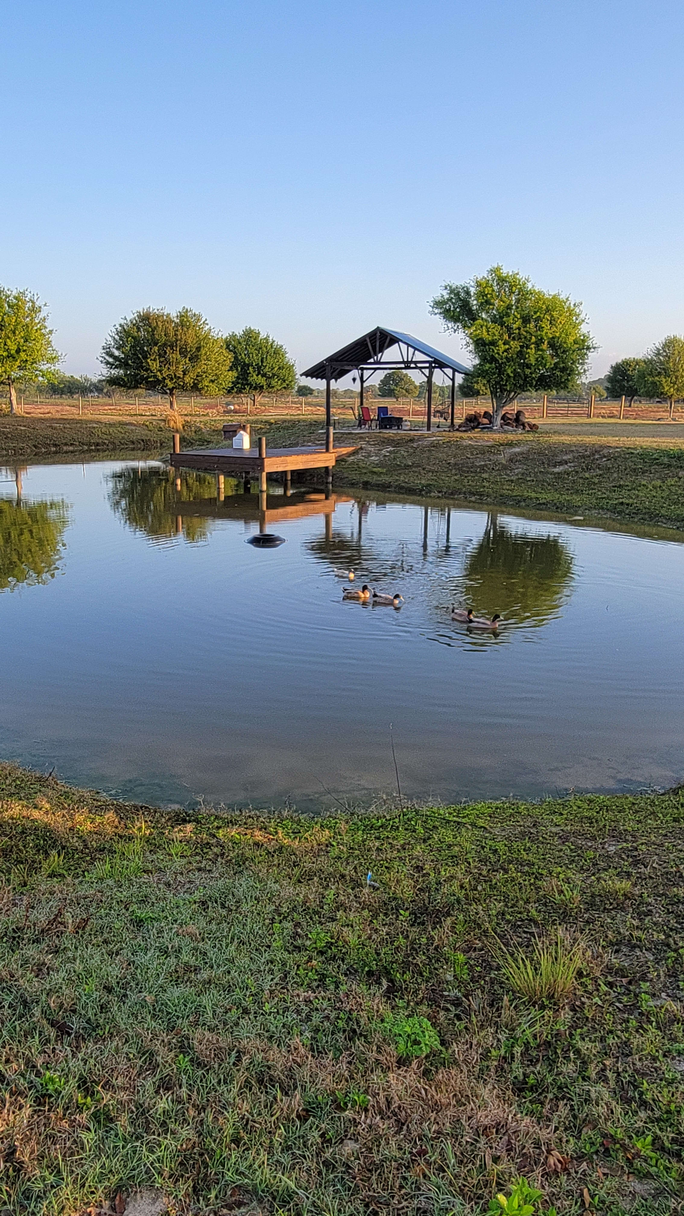 Enjoy our fire pit, dock, and ducks! 