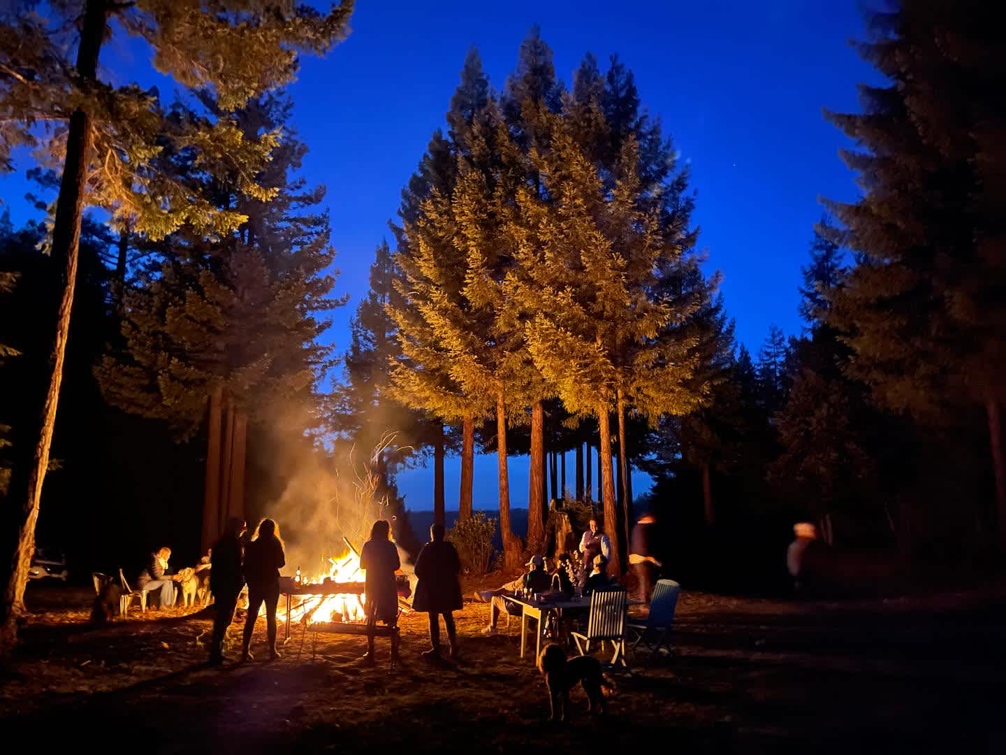 Bonfire in the meadow during the rainy season