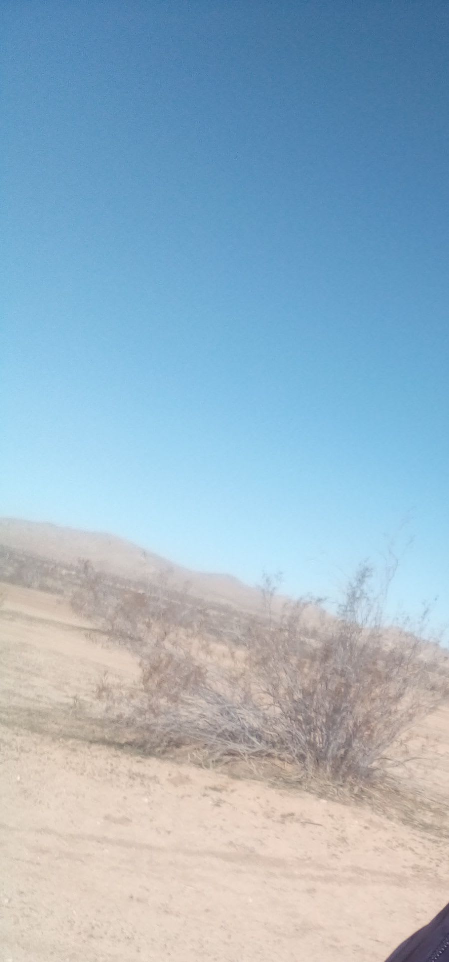 OHV Roadside Paradise in Cal City