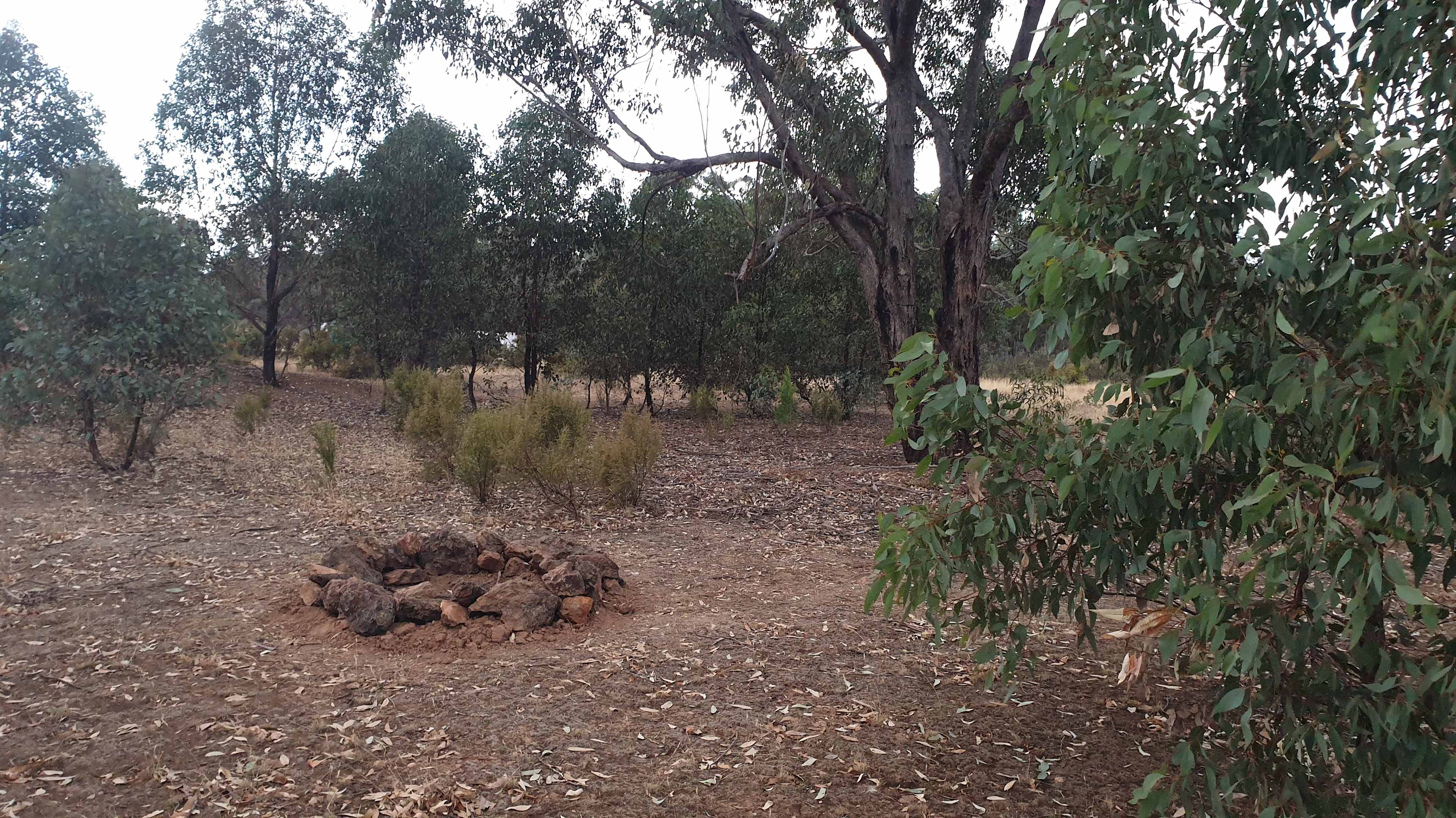Campsite 1.  In the background is the rise in earth surrounding the water hole.