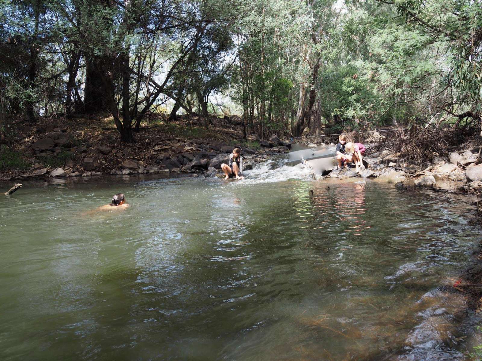 Jackaleah Farm Stay - Camping