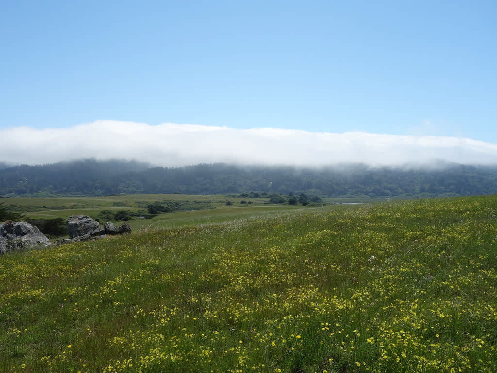 Tomales Bay State Park