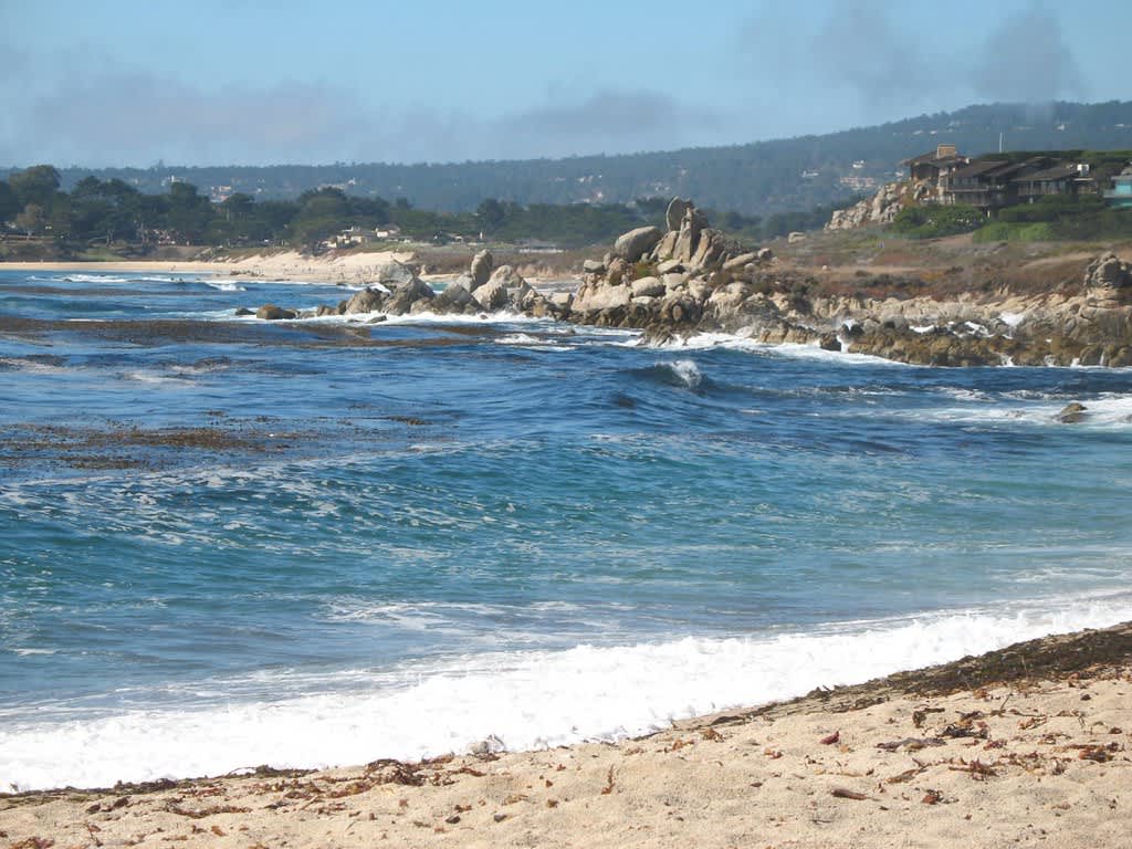 Carmel River State Beach