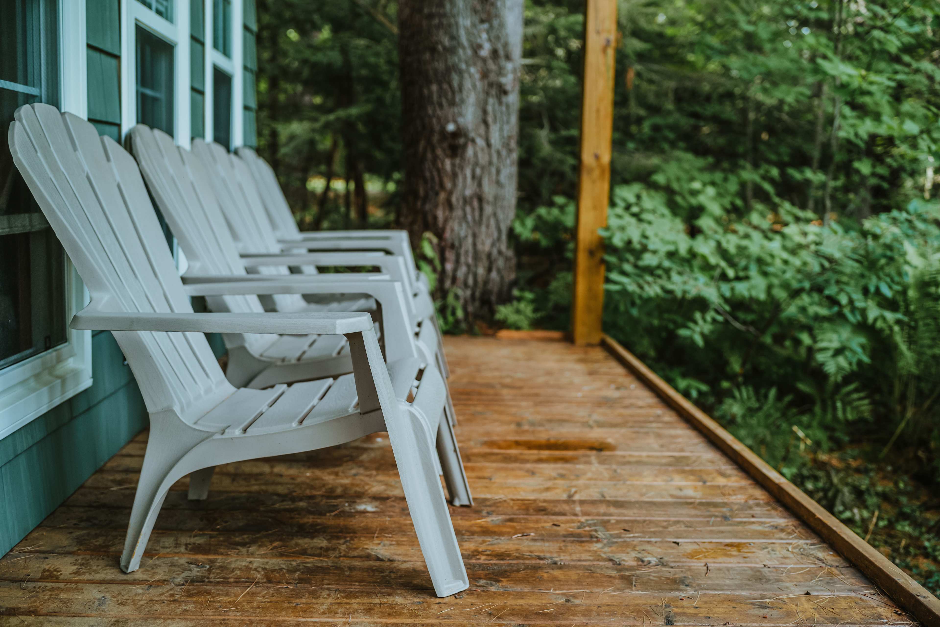 10 best cabin rentals in Ontario Explore & book cabins in Ontario
