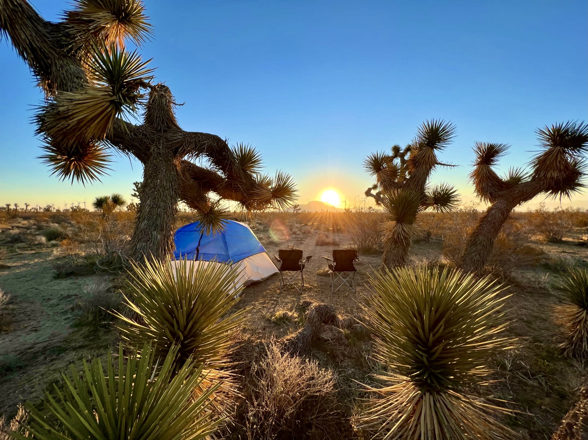 Desert Camping with Turbine Views