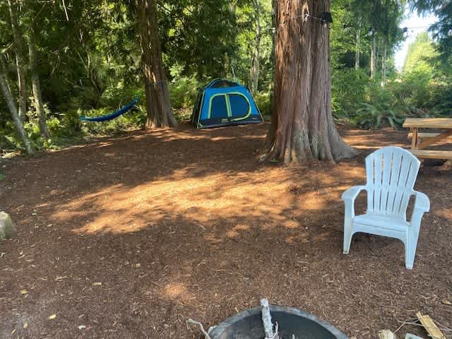 Whidbey Island Christmas Tree Farm