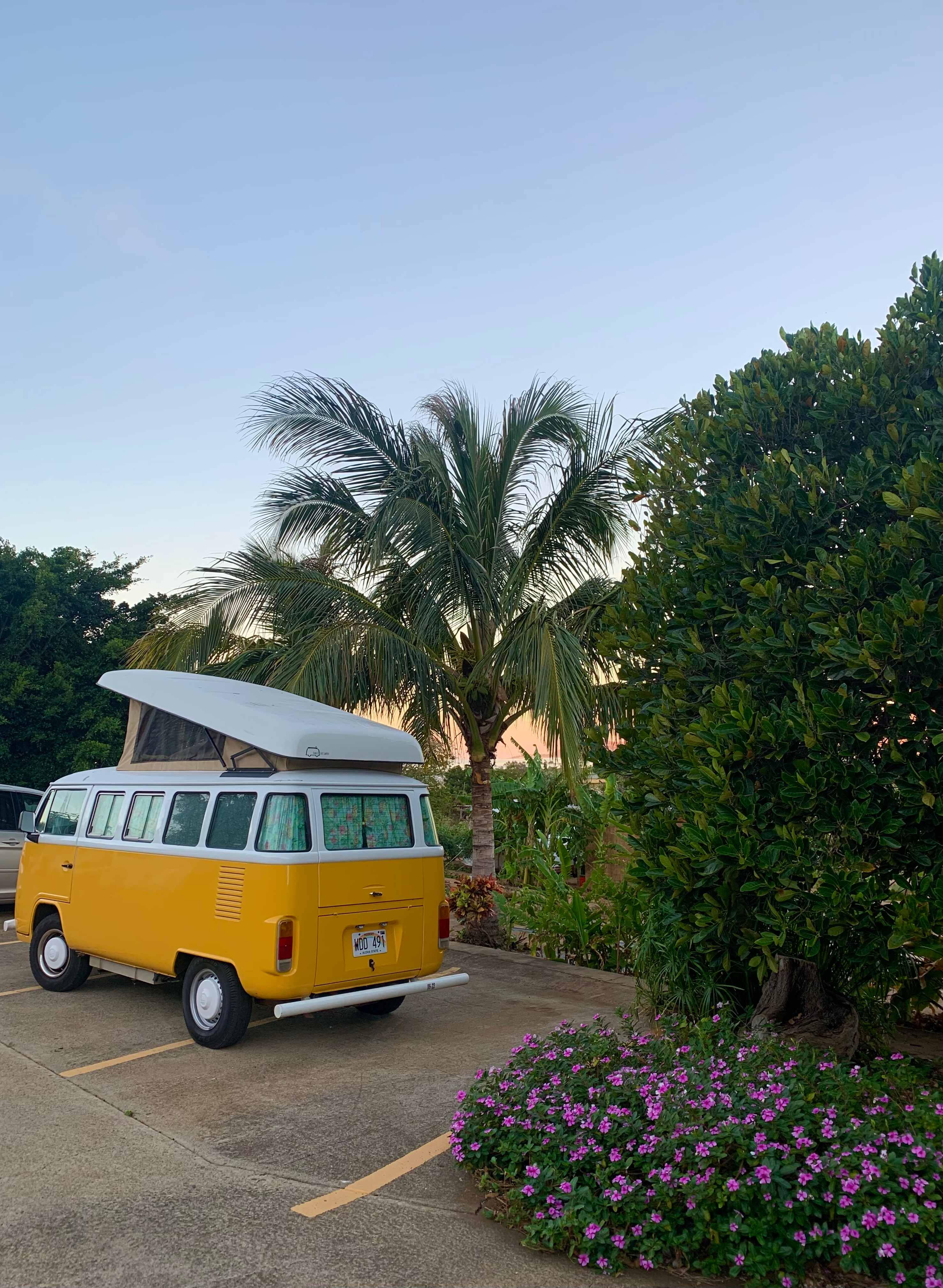Sun Farm Hawaii @ Koko Head