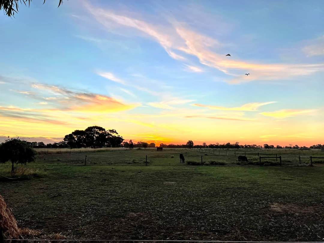 Ellesmere Park Farm Stay