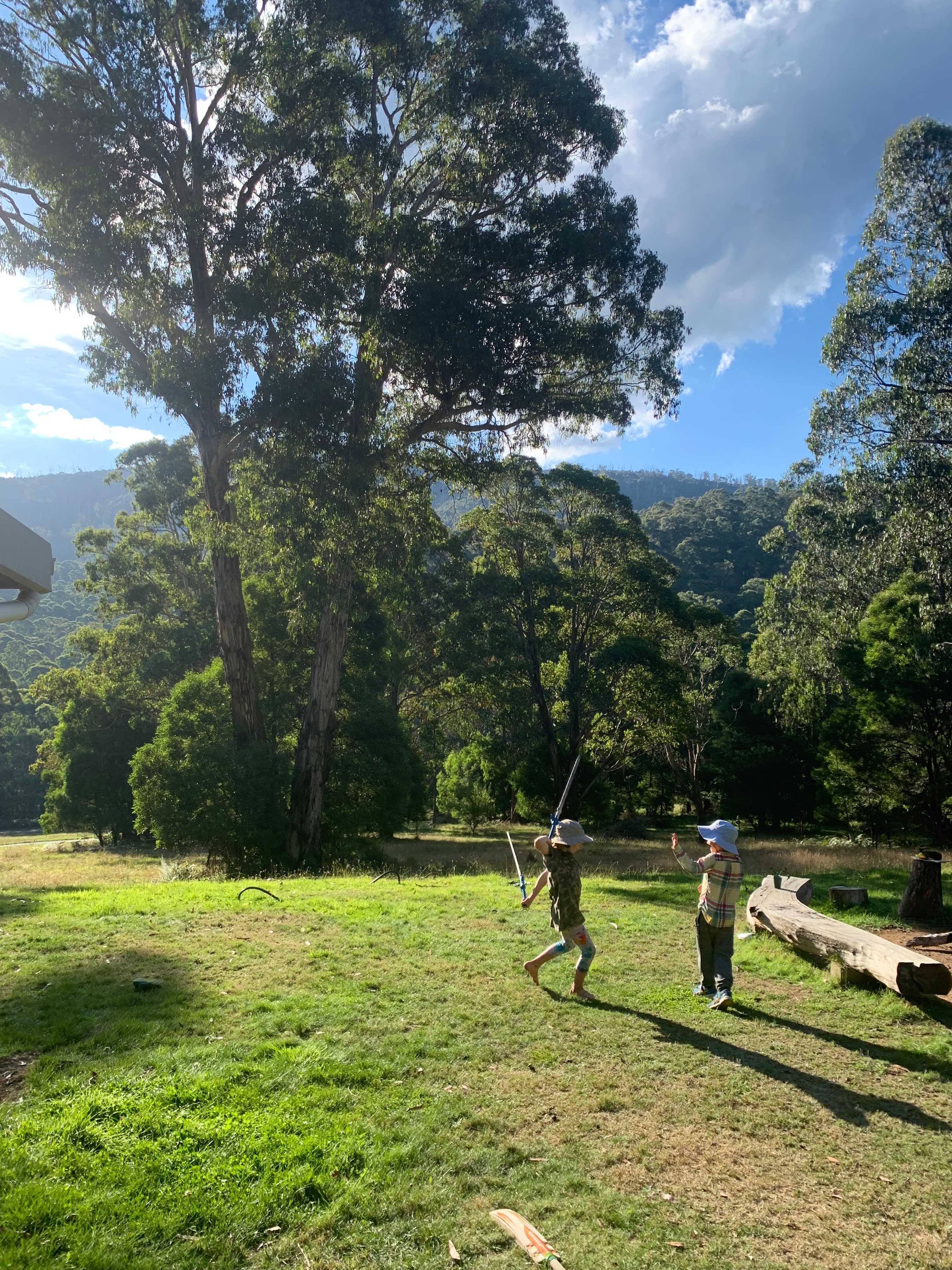 Grass area in front of house for games 