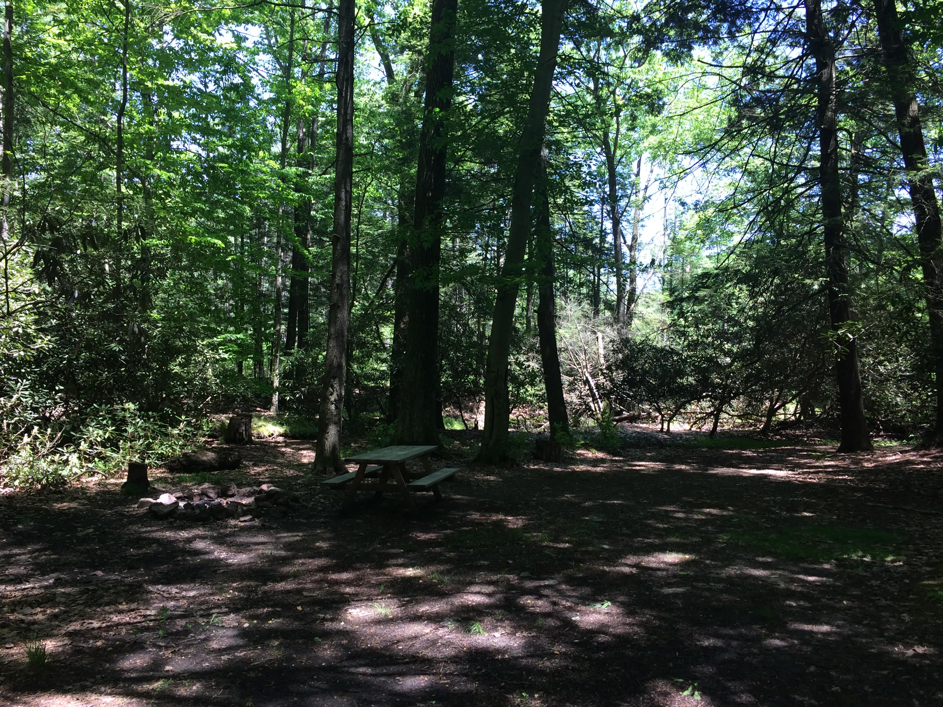 Site 18: Large shaded site in the trees at the back of the property. Great for hammocks, tents, or rooftop tents.  Shared space with site 17. 