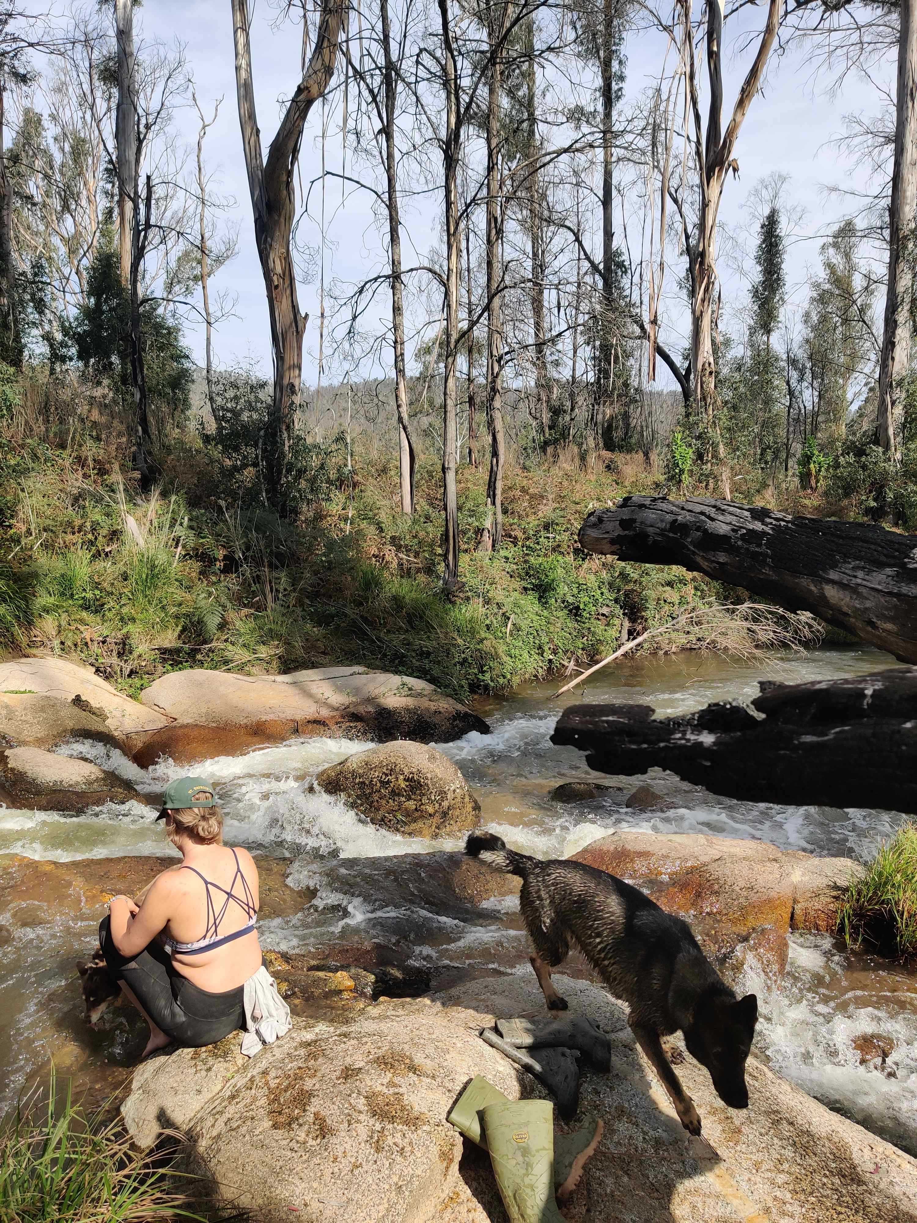 The river rapids