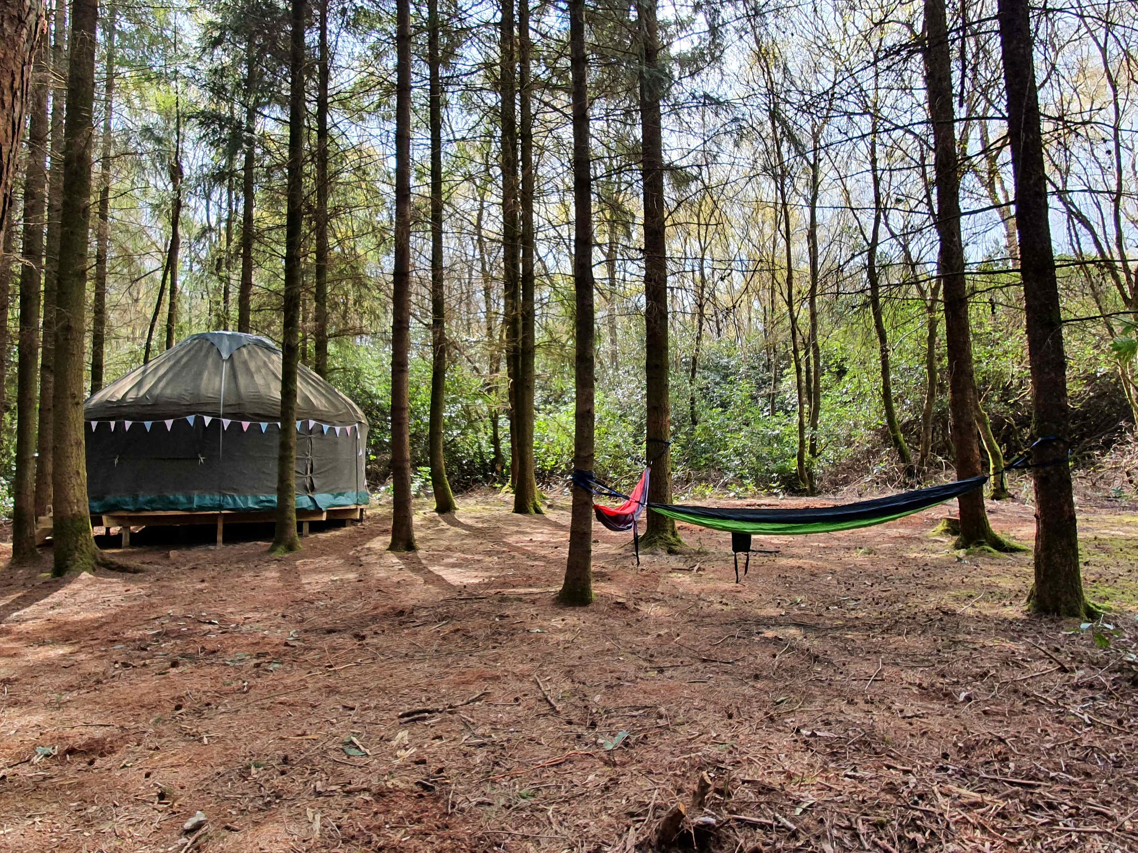 Southover Woods Wild Camping
