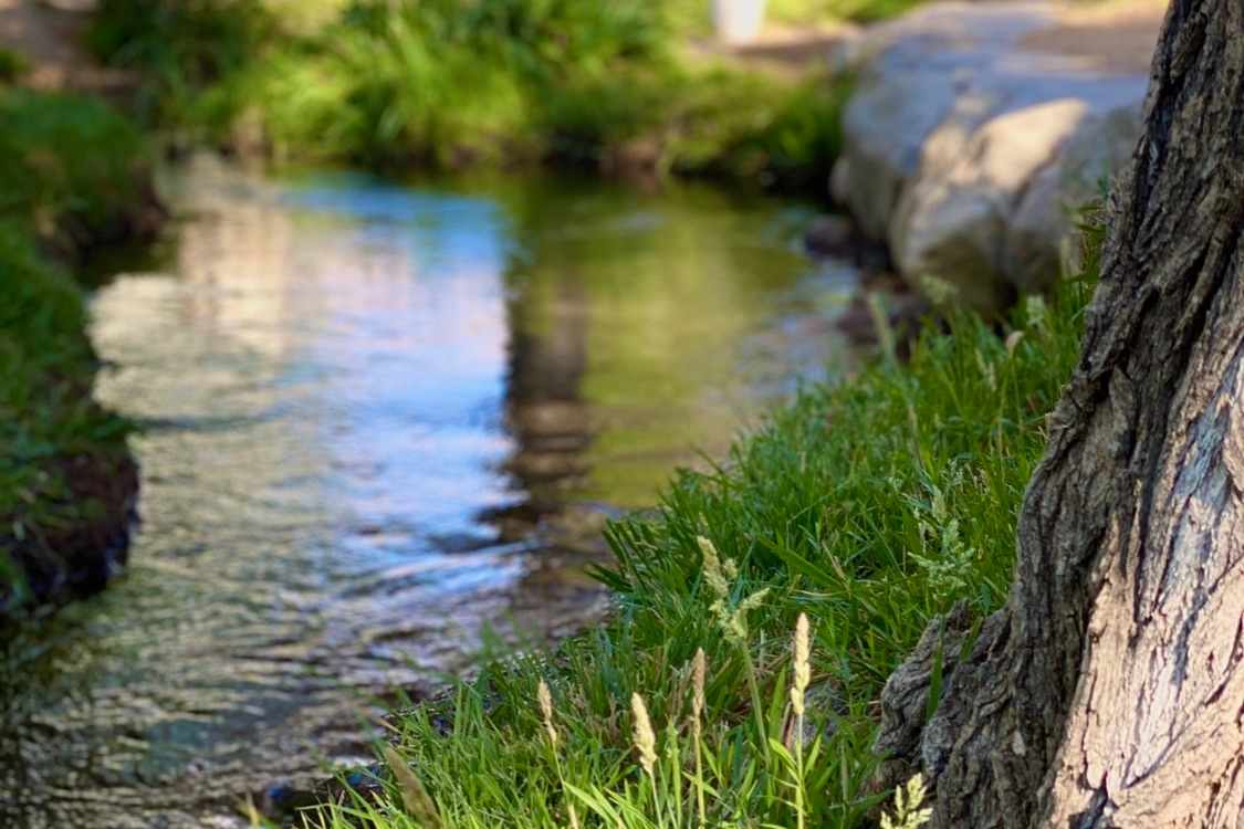 Goodale Creek