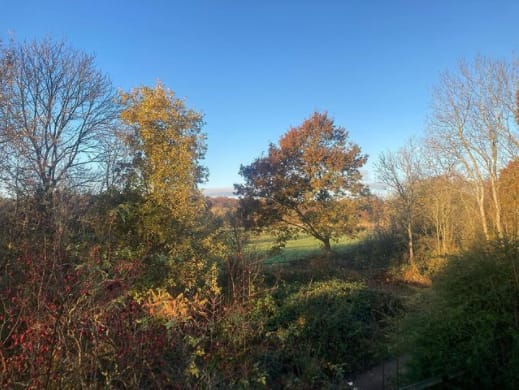 Wolford Wood Camping & Cabins
