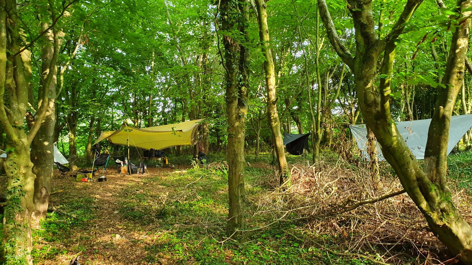 Southover Woods Wild Camping